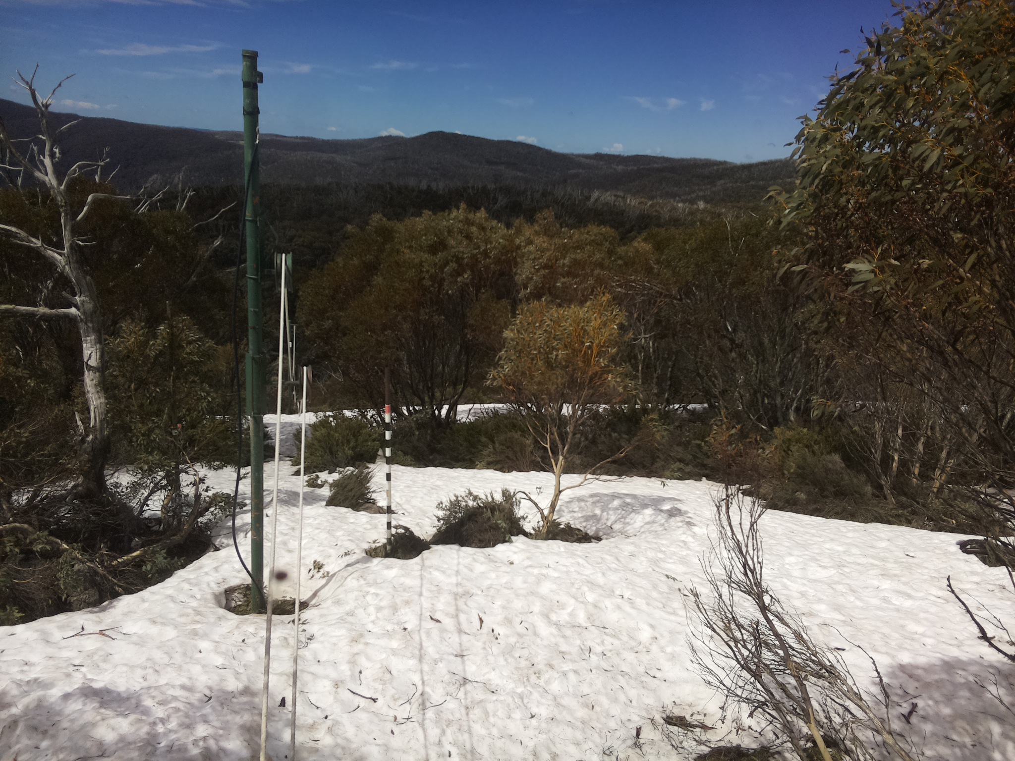 Bogong Web Cam 12:00pm Thursday 9th of October 2025