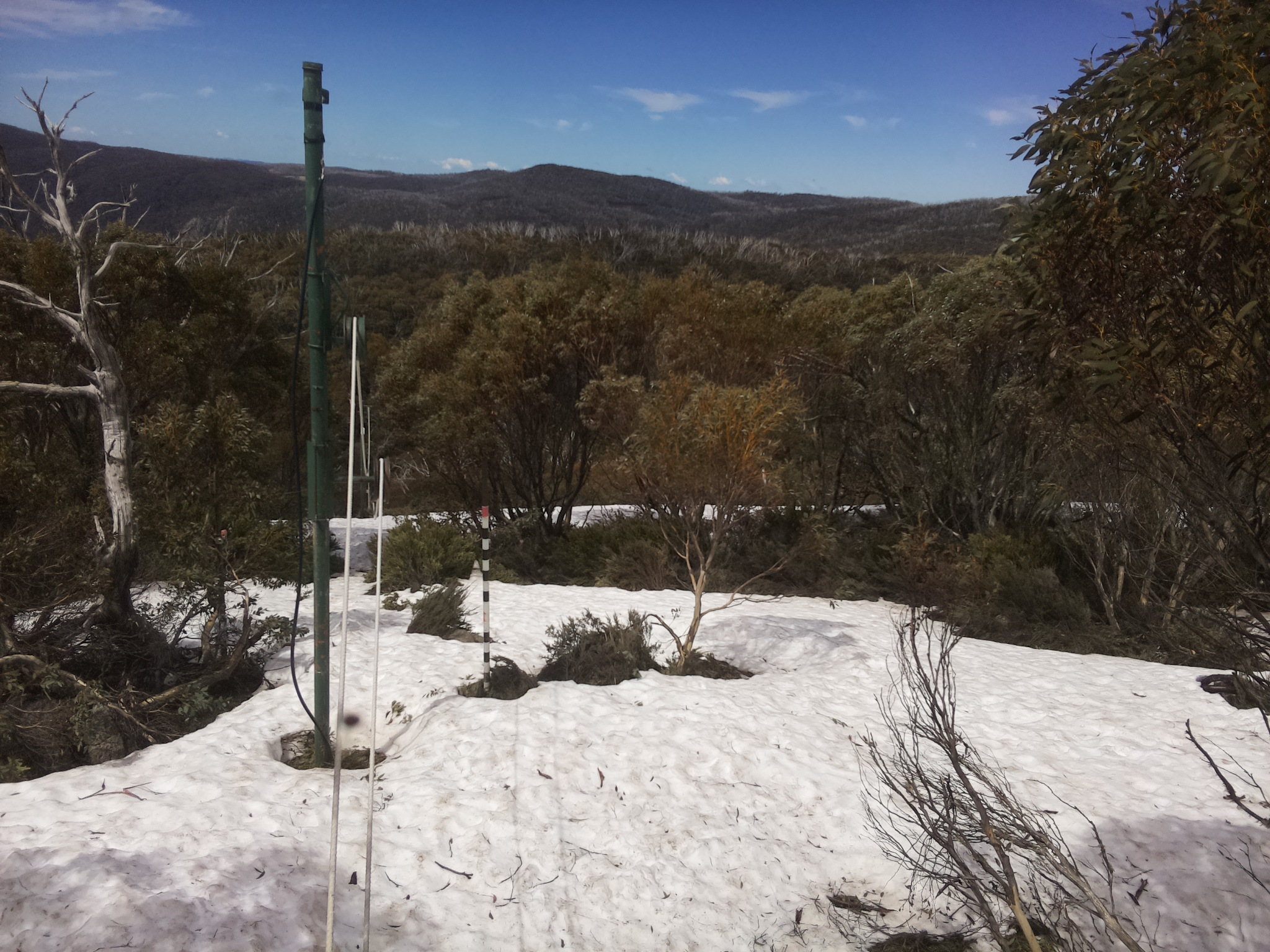 Bogong Web Cam 12:10pm Thursday 9th of October 2025