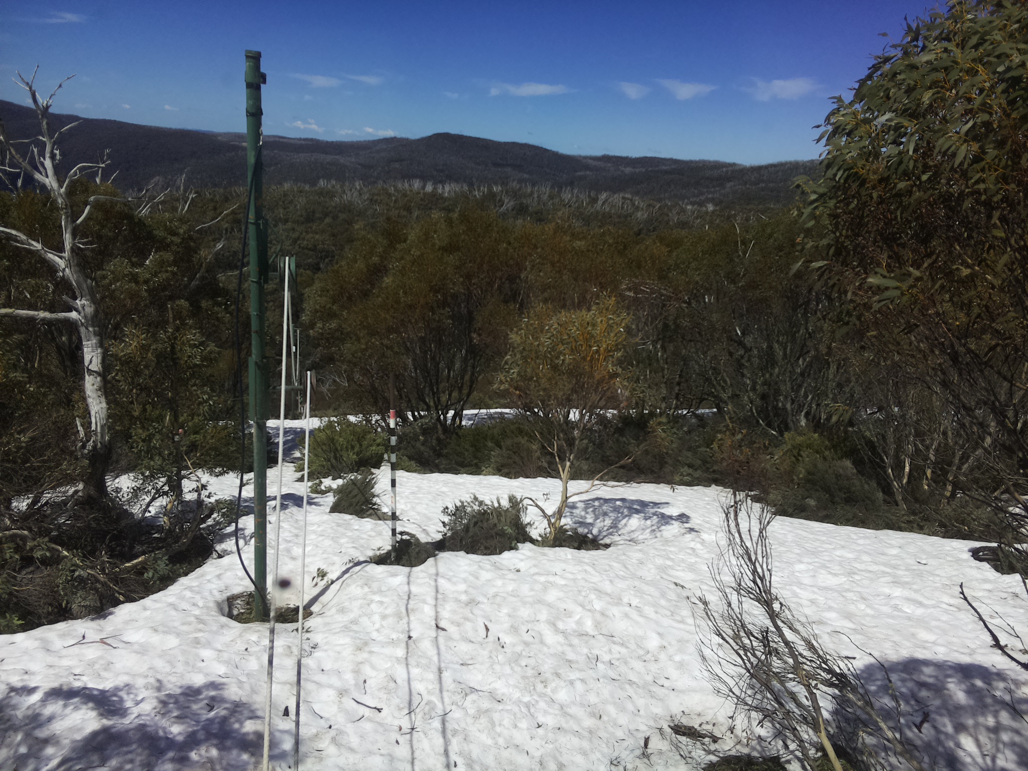 Bogong Web Cam 12:20pm Thursday 9th of October 2025
