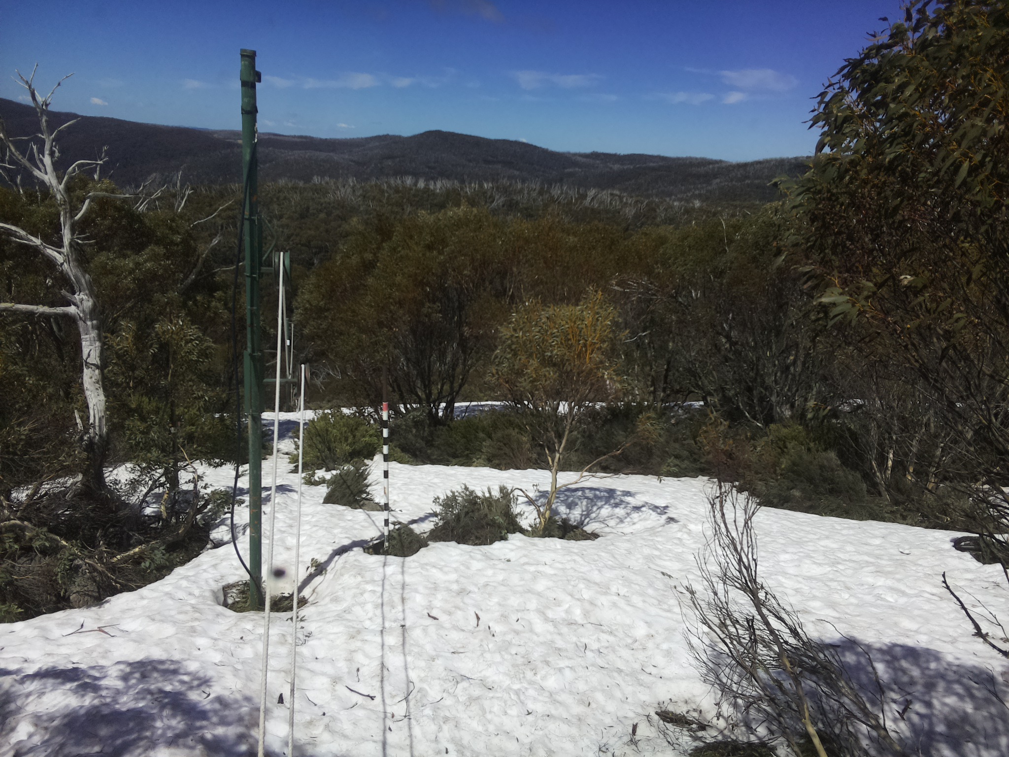 Bogong Web Cam 12:40pm Thursday 9th of October 2025