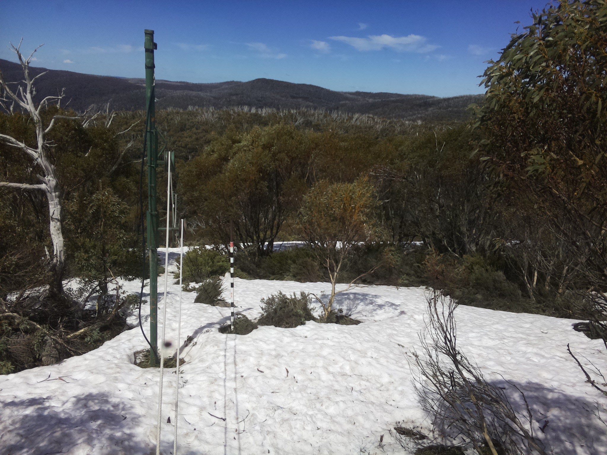 Bogong Web Cam 12:50pm Thursday 9th of October 2025