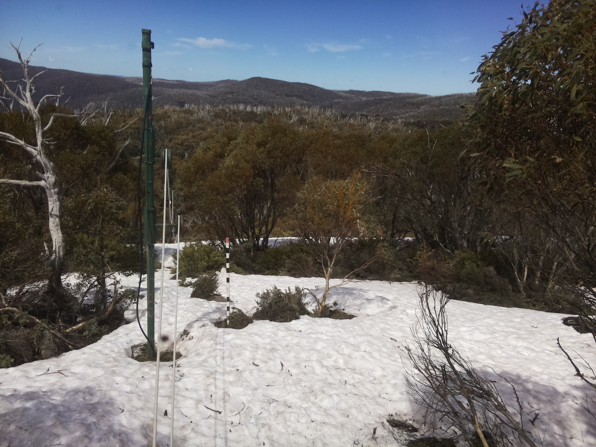 Bogong Web Cam 1:00pm Thursday 9th of October 2025
