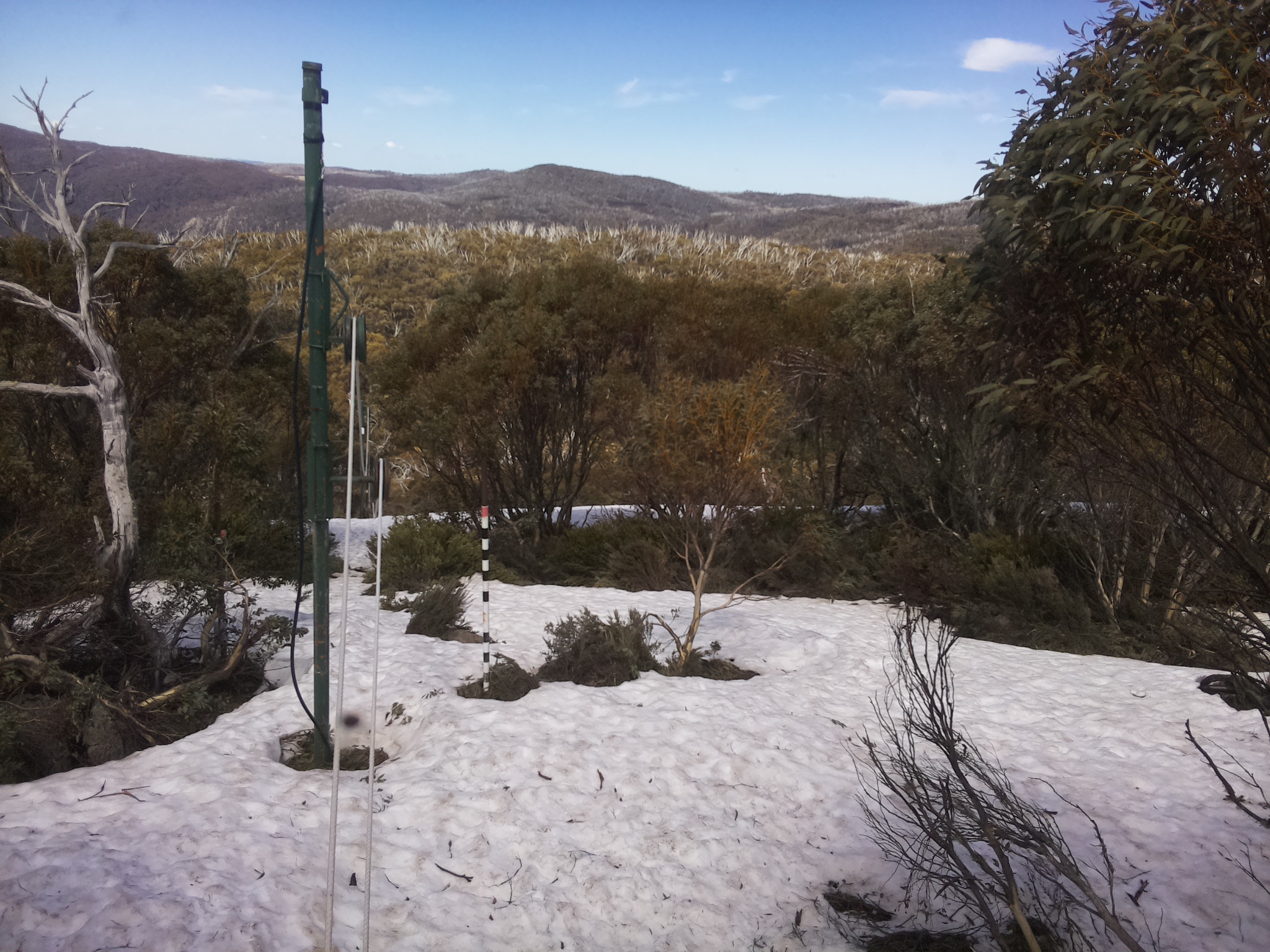 Bogong Web Cam 1:10pm Thursday 9th of October 2025