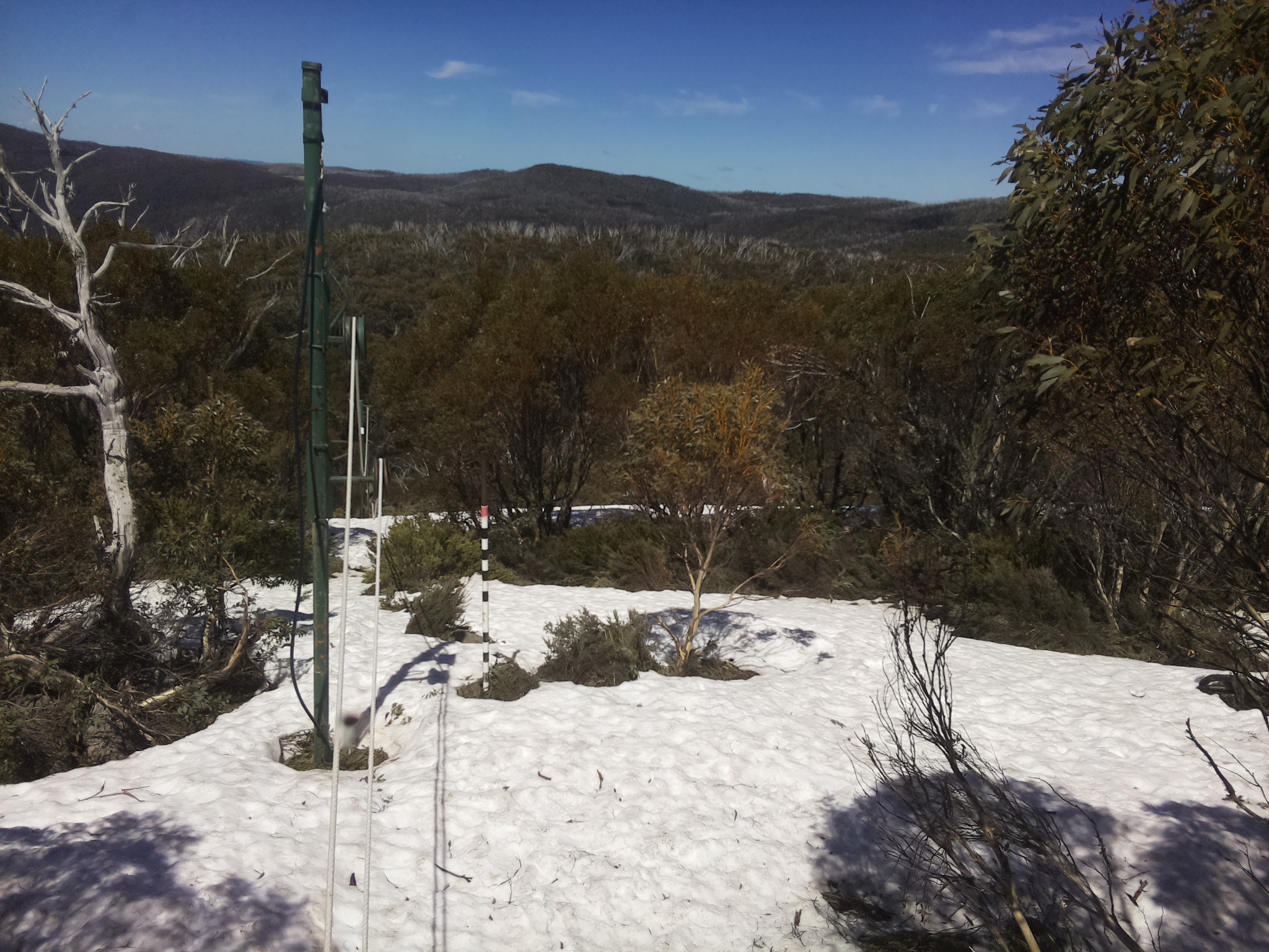 Bogong Web Cam 1:20pm Thursday 9th of October 2025