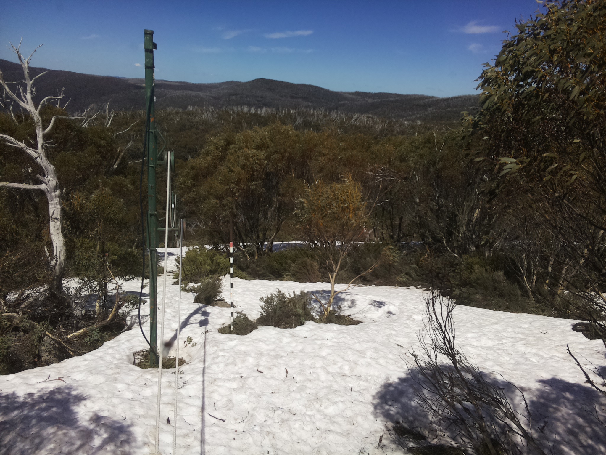 Bogong Web Cam 1:30pm Thursday 9th of October 2025
