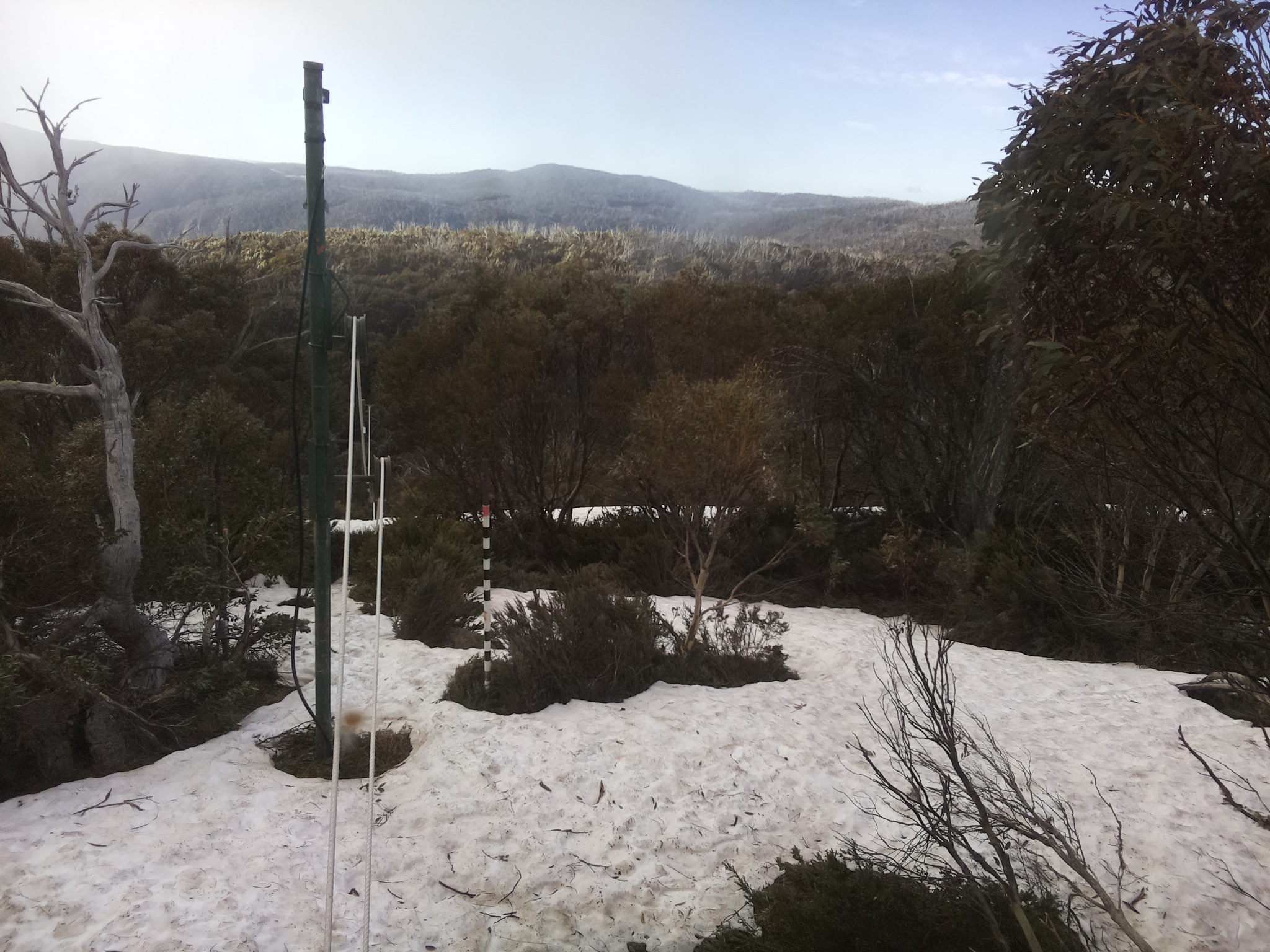 Bogong Web Cam 8:00am Saturday 11th of October 2025