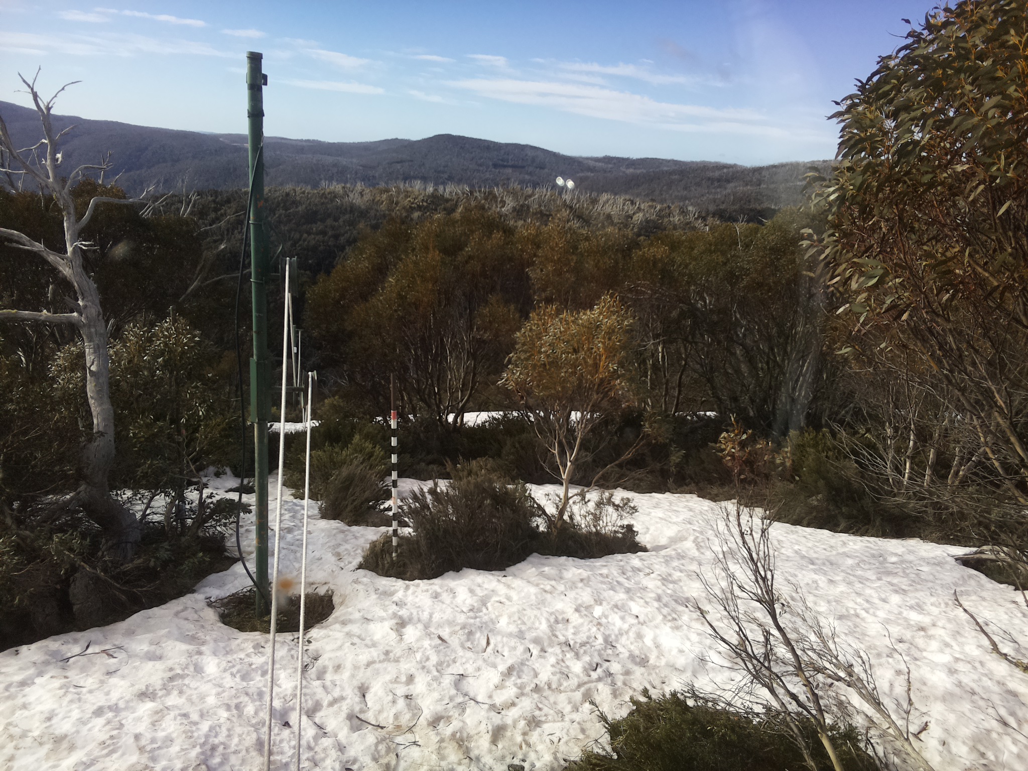 Bogong Web Cam 8:40am Saturday 11th of October 2025