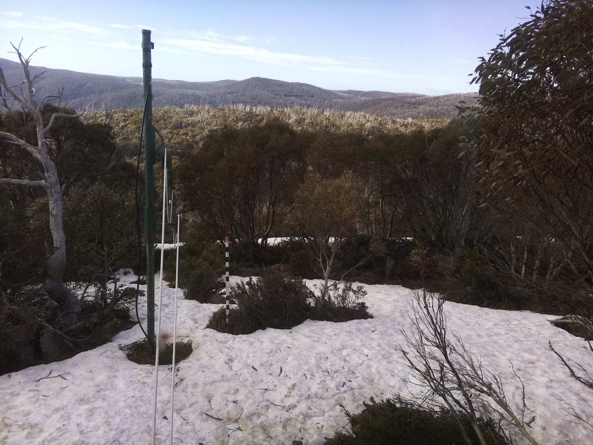 Bogong Web Cam 8:50am Saturday 11th of October 2025