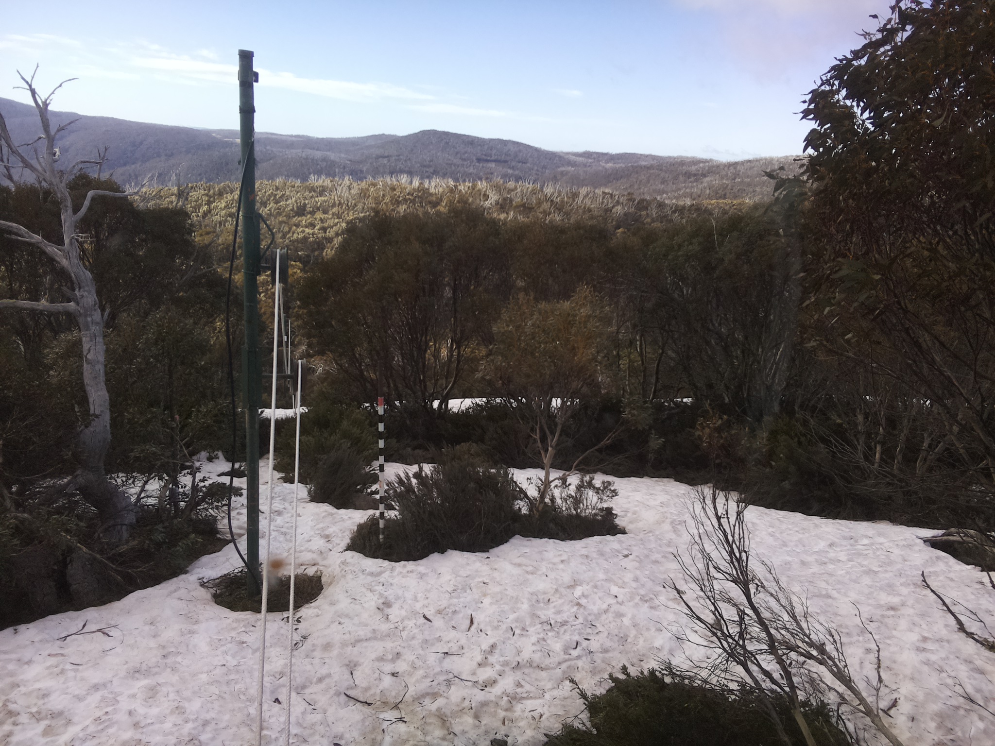 Bogong Web Cam 9:00am Saturday 11th of October 2025
