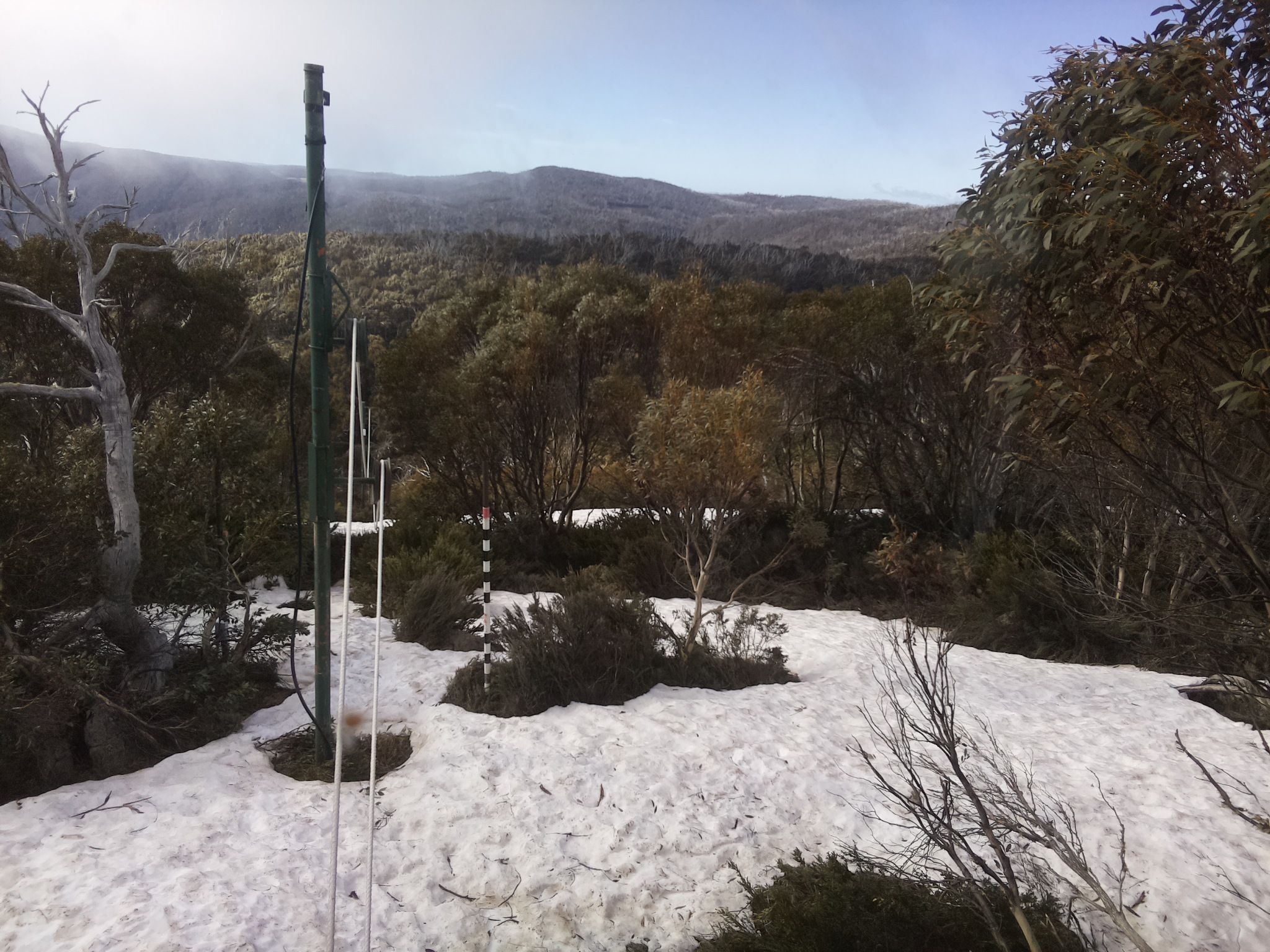 Bogong Web Cam 9:10am Saturday 11th of October 2025