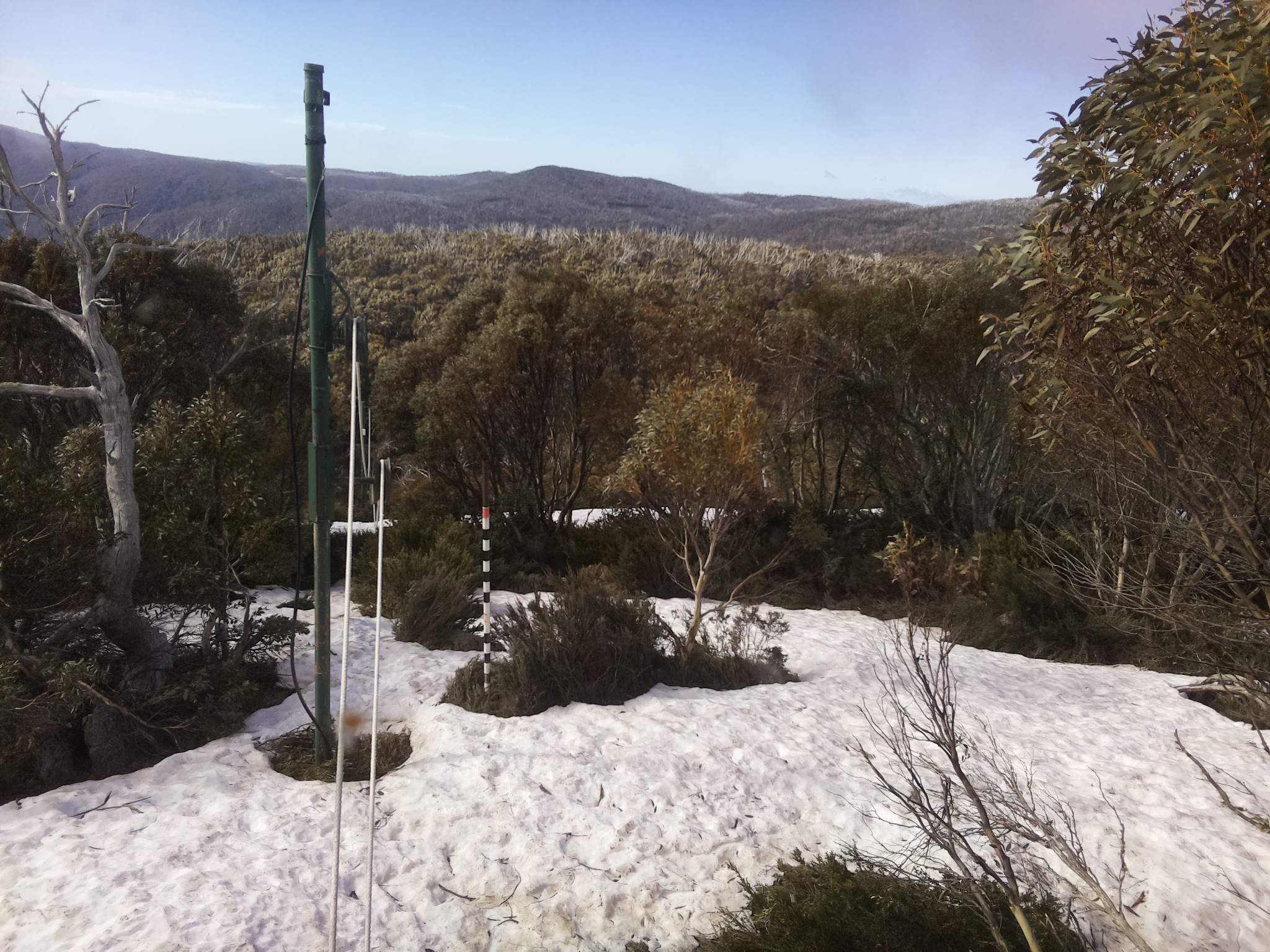 Bogong Web Cam 9:20am Saturday 11th of October 2025