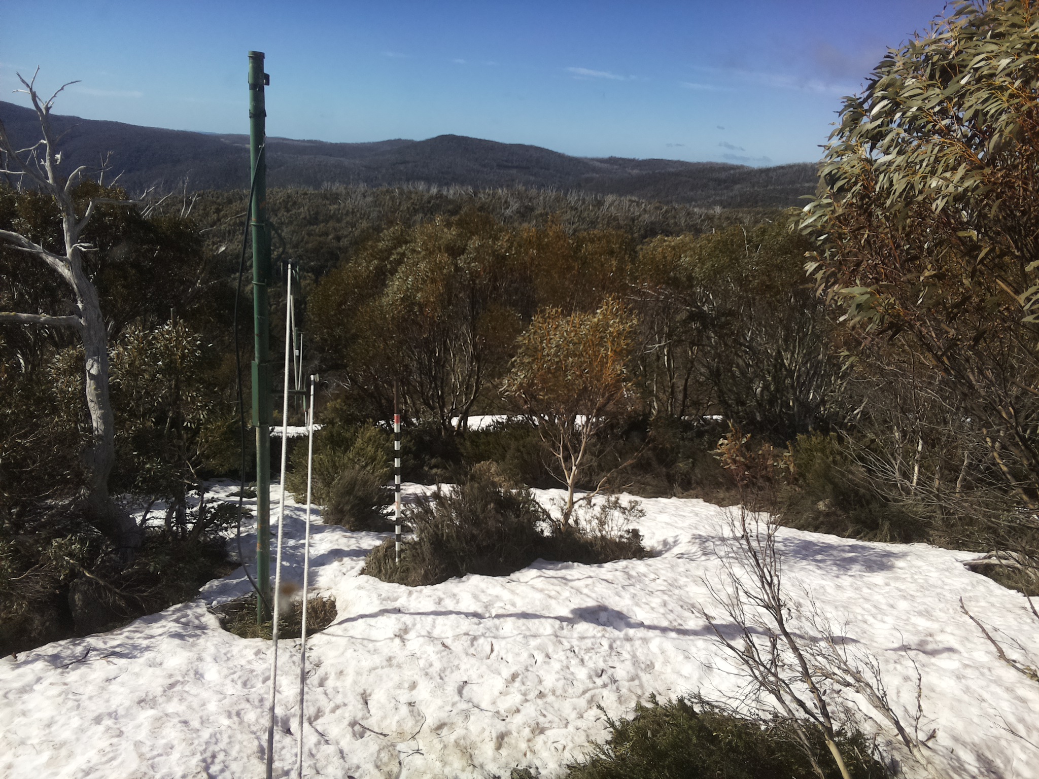 Bogong Web Cam 9:40am Saturday 11th of October 2025