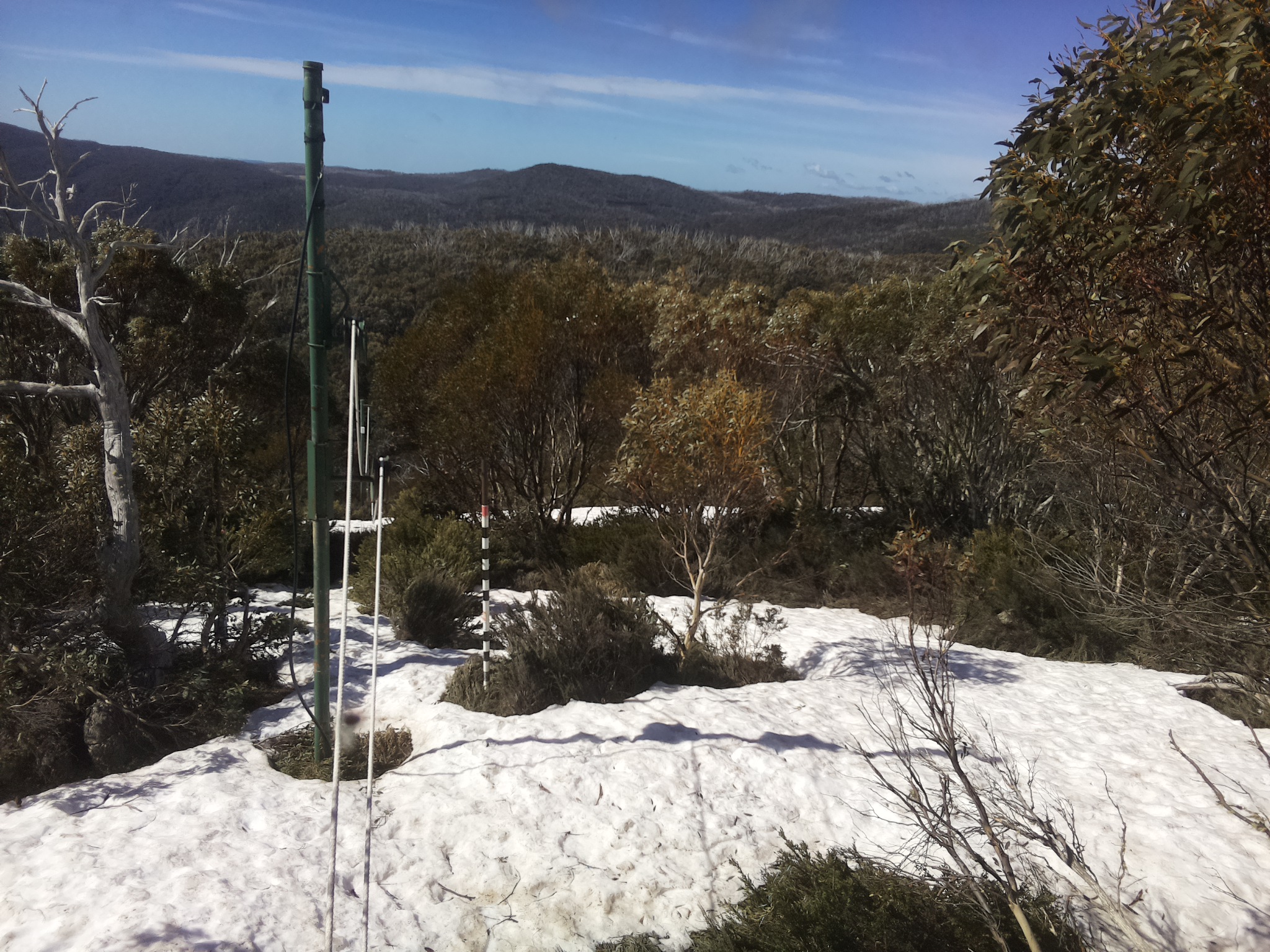Bogong Web Cam 10:10am Saturday 11th of October 2025