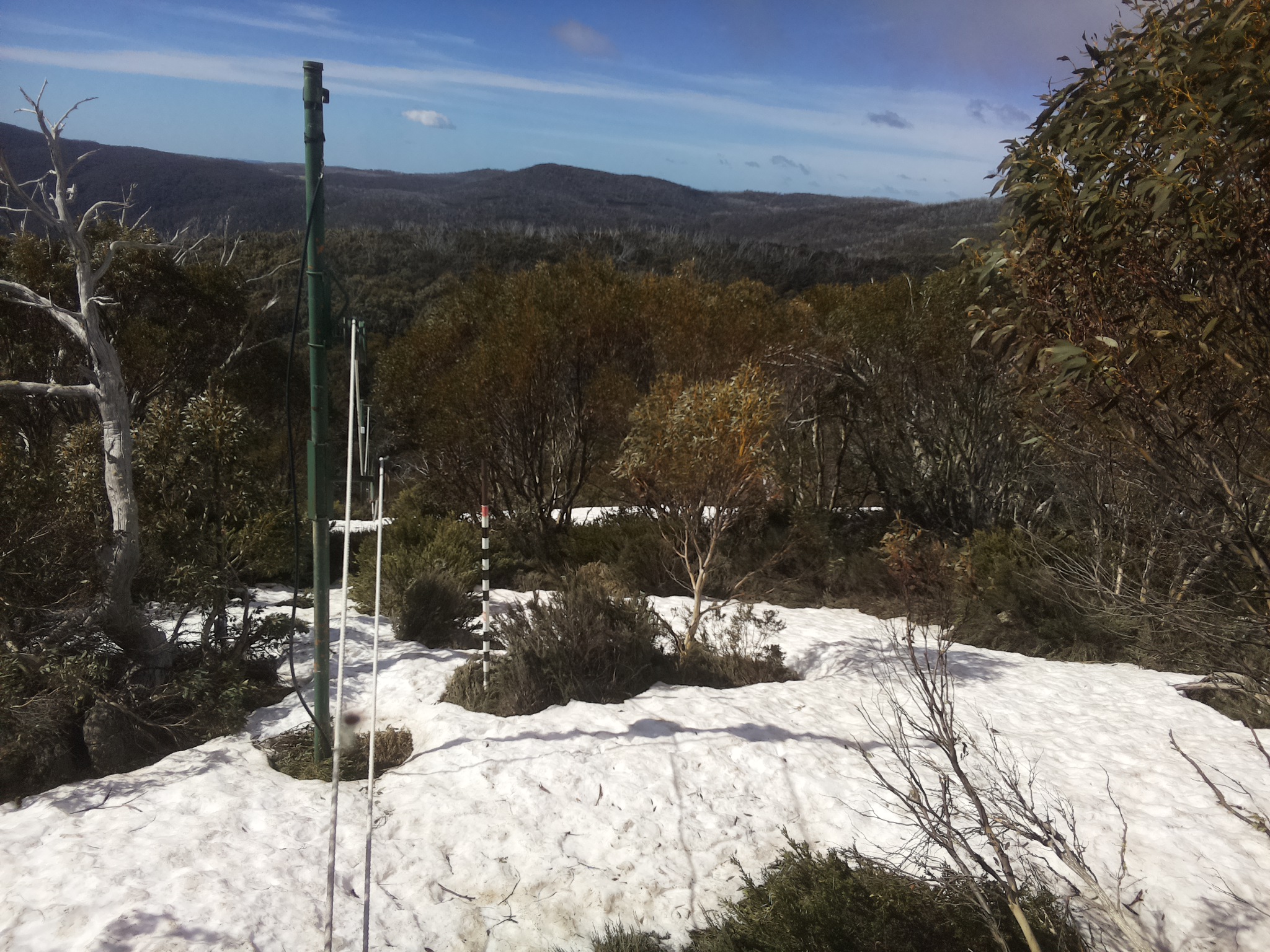 Bogong Web Cam 10:20am Saturday 11th of October 2025
