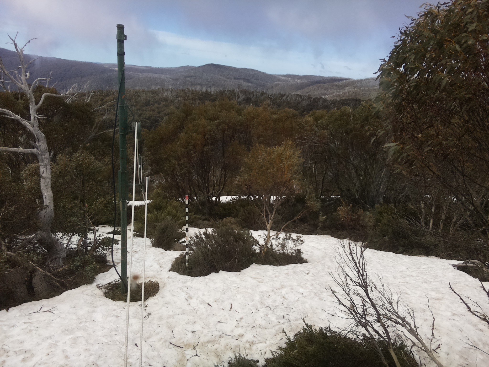 Bogong Web Cam 10:40am Saturday 11th of October 2025