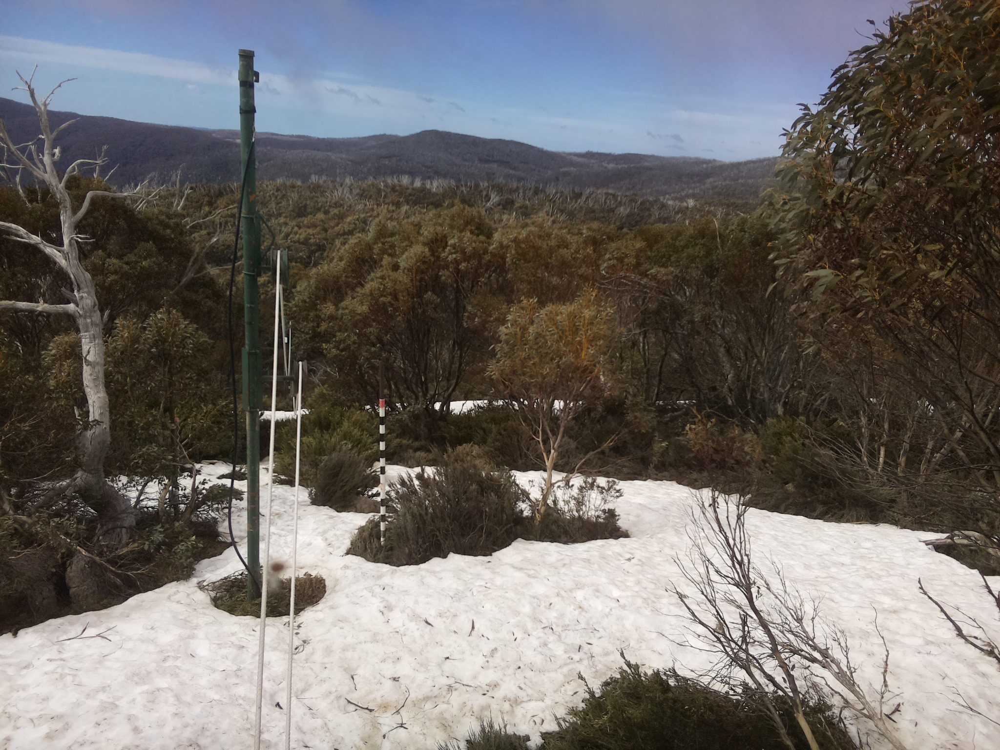 Bogong Web Cam 10:50am Saturday 11th of October 2025