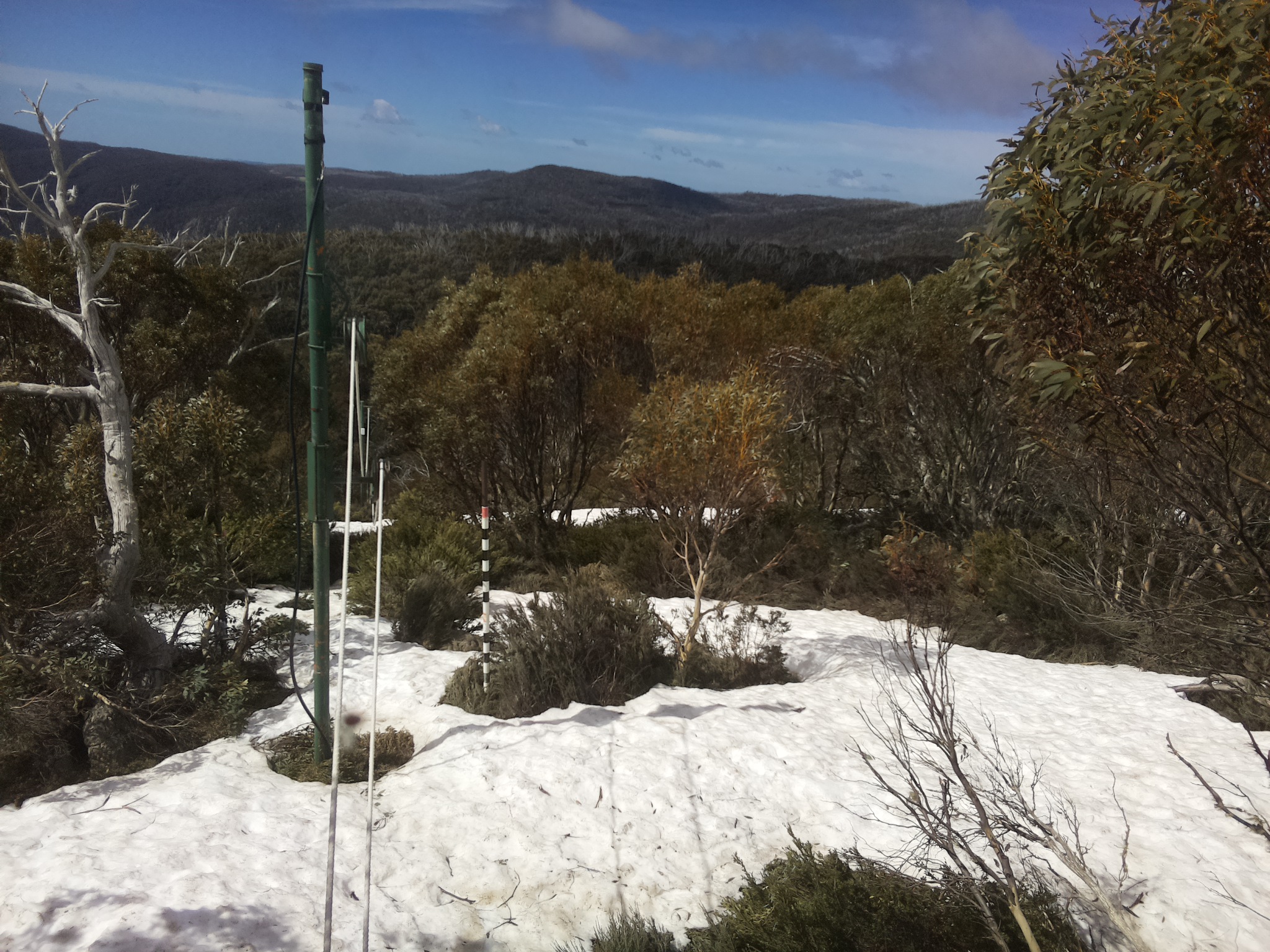 Bogong Web Cam 11:00am Saturday 11th of October 2025