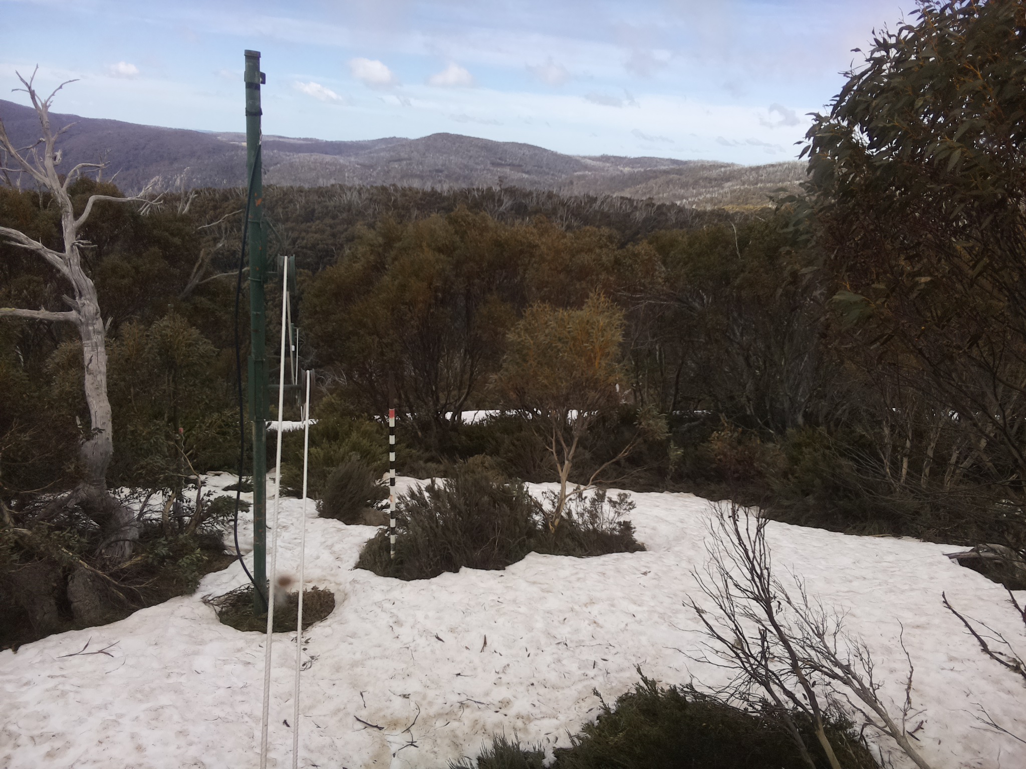 Bogong Web Cam 11:10am Saturday 11th of October 2025