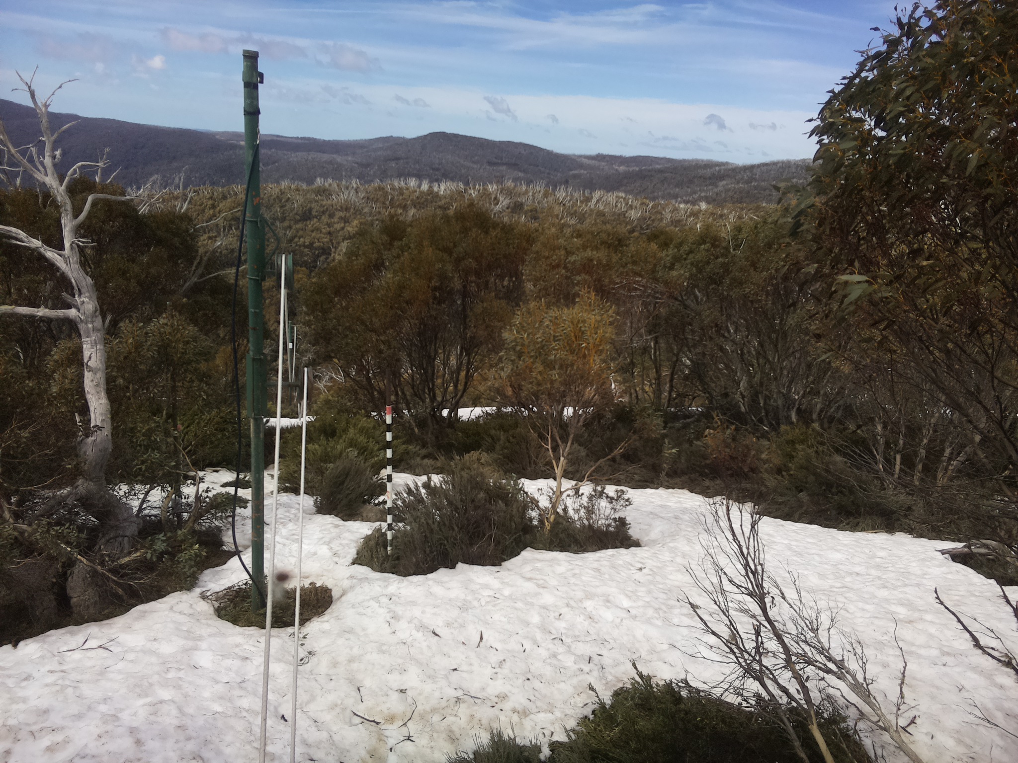 Bogong Web Cam 11:20am Saturday 11th of October 2025