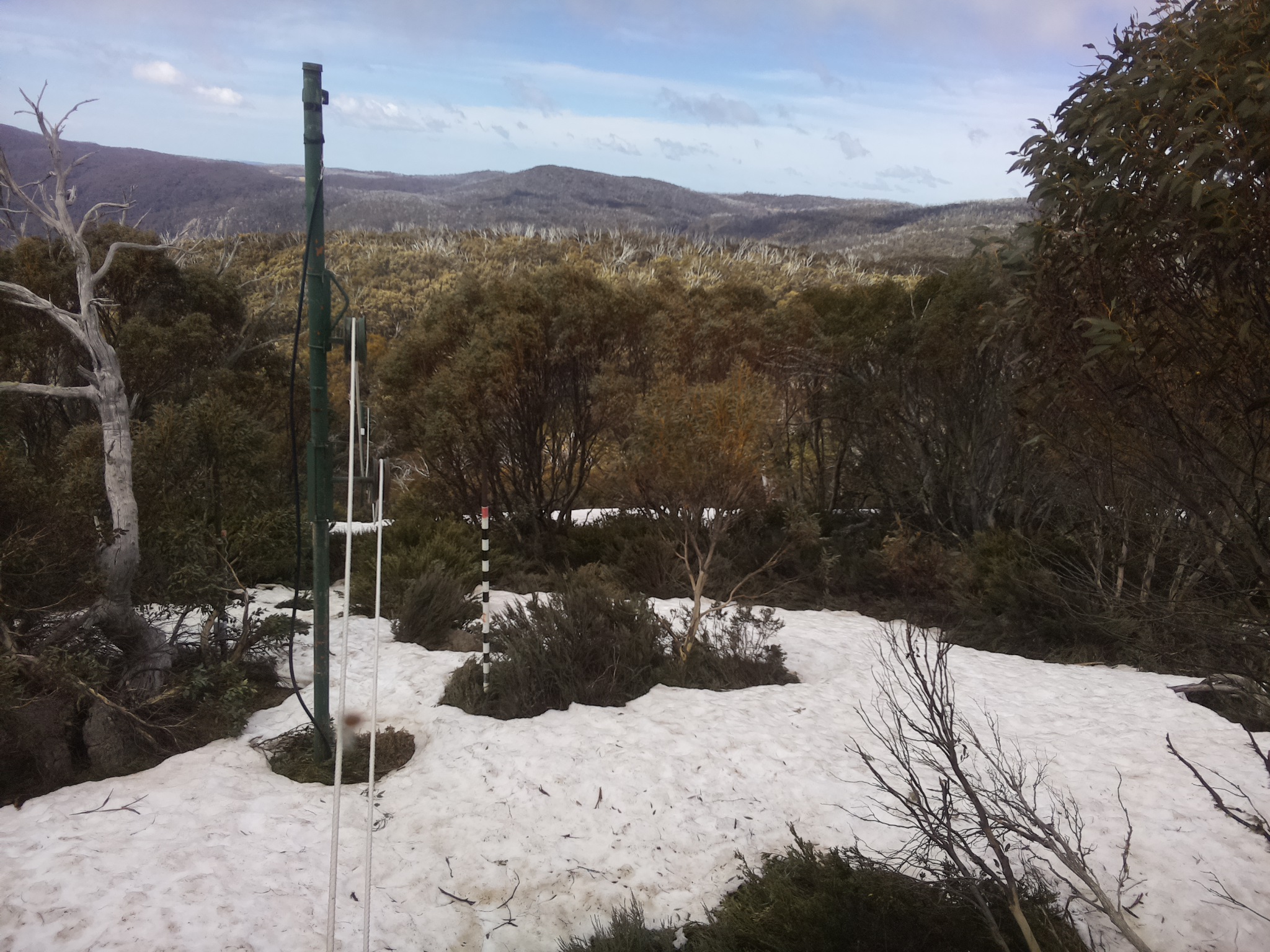 Bogong Web Cam 11:30am Saturday 11th of October 2025