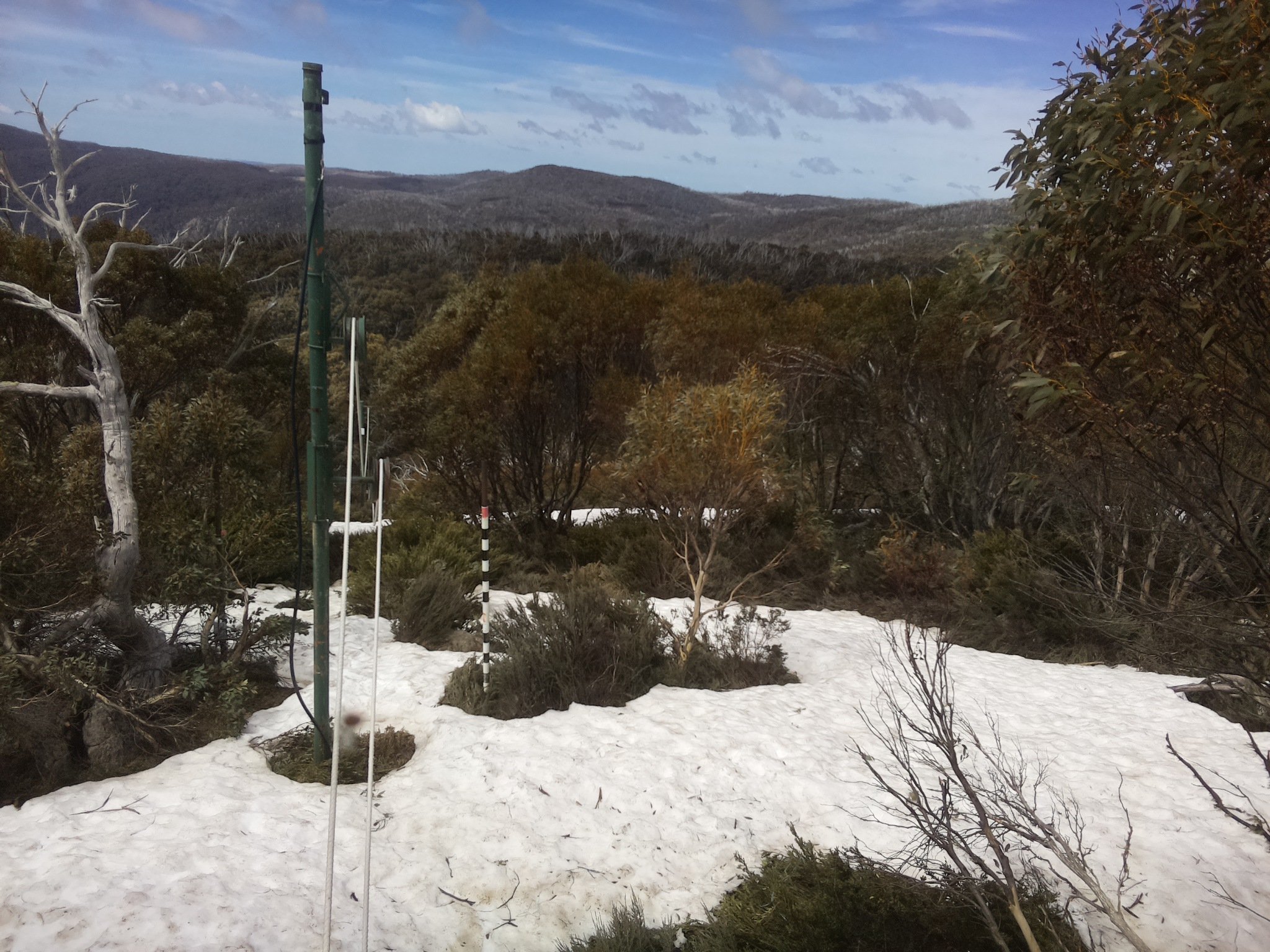 Bogong Web Cam 11:40am Saturday 11th of October 2025