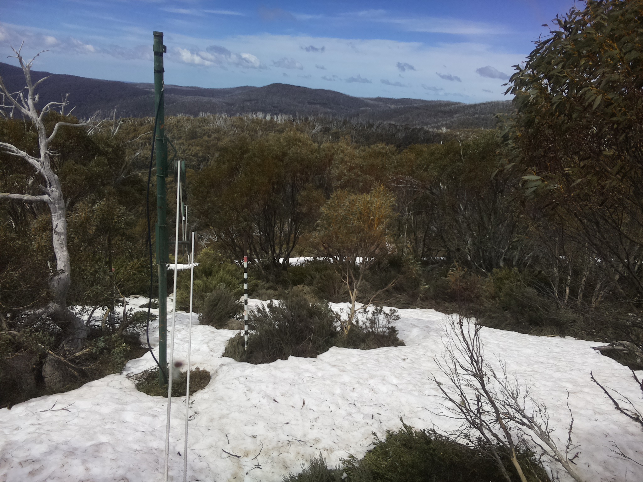Bogong Web Cam 11:50am Saturday 11th of October 2025