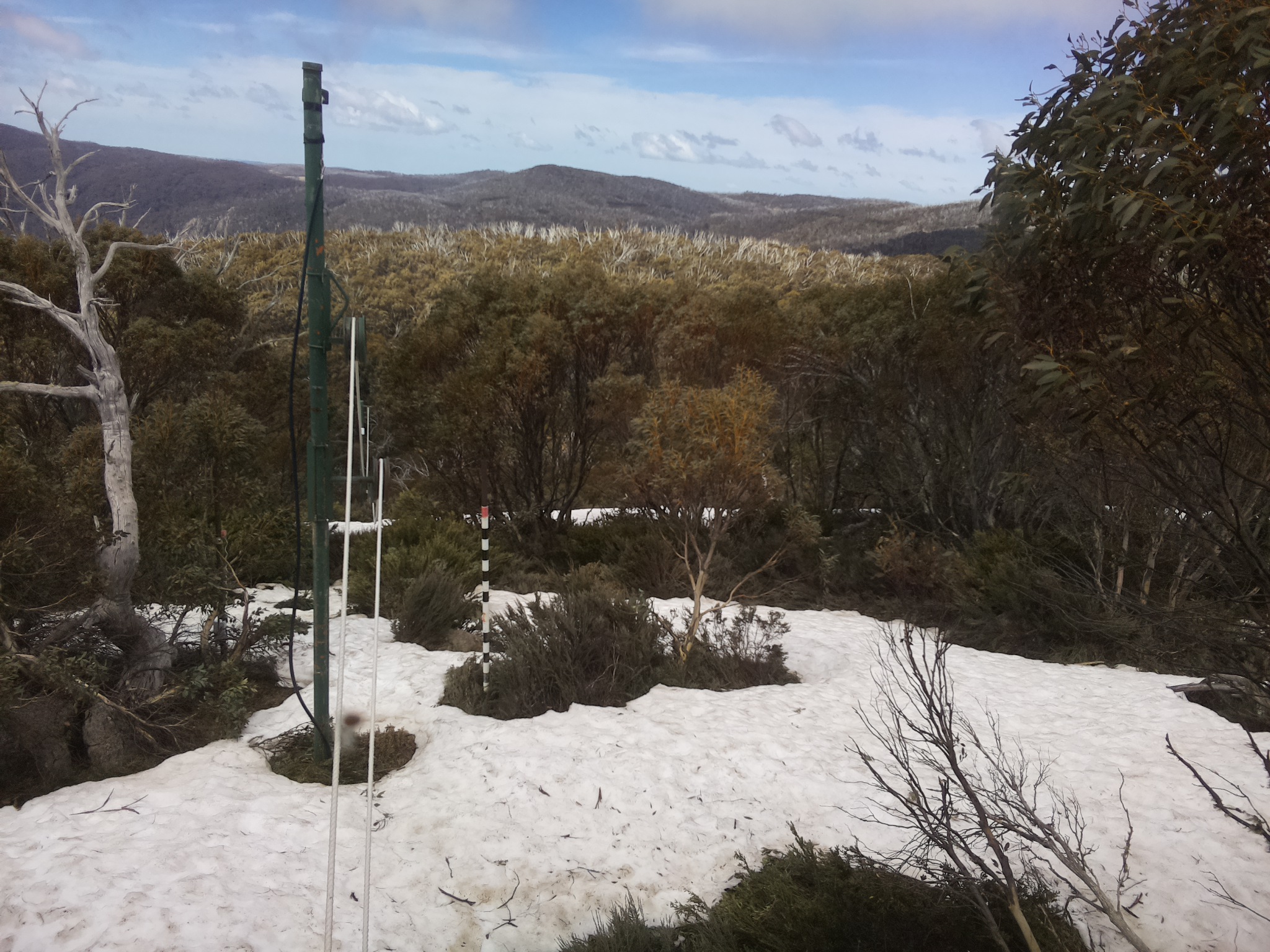 Bogong Web Cam 12:00pm Saturday 11th of October 2025