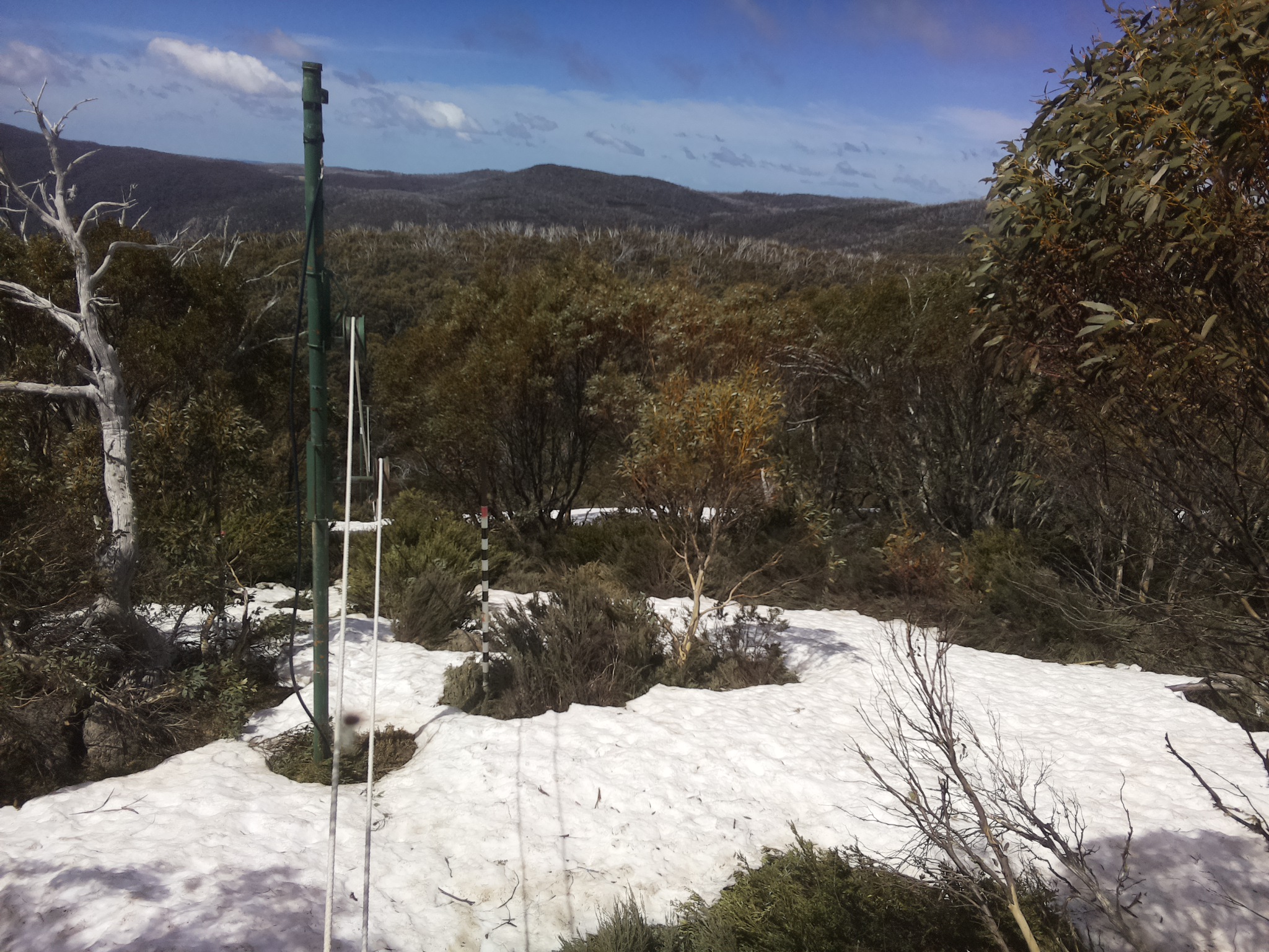 Bogong Web Cam 12:10pm Saturday 11th of October 2025