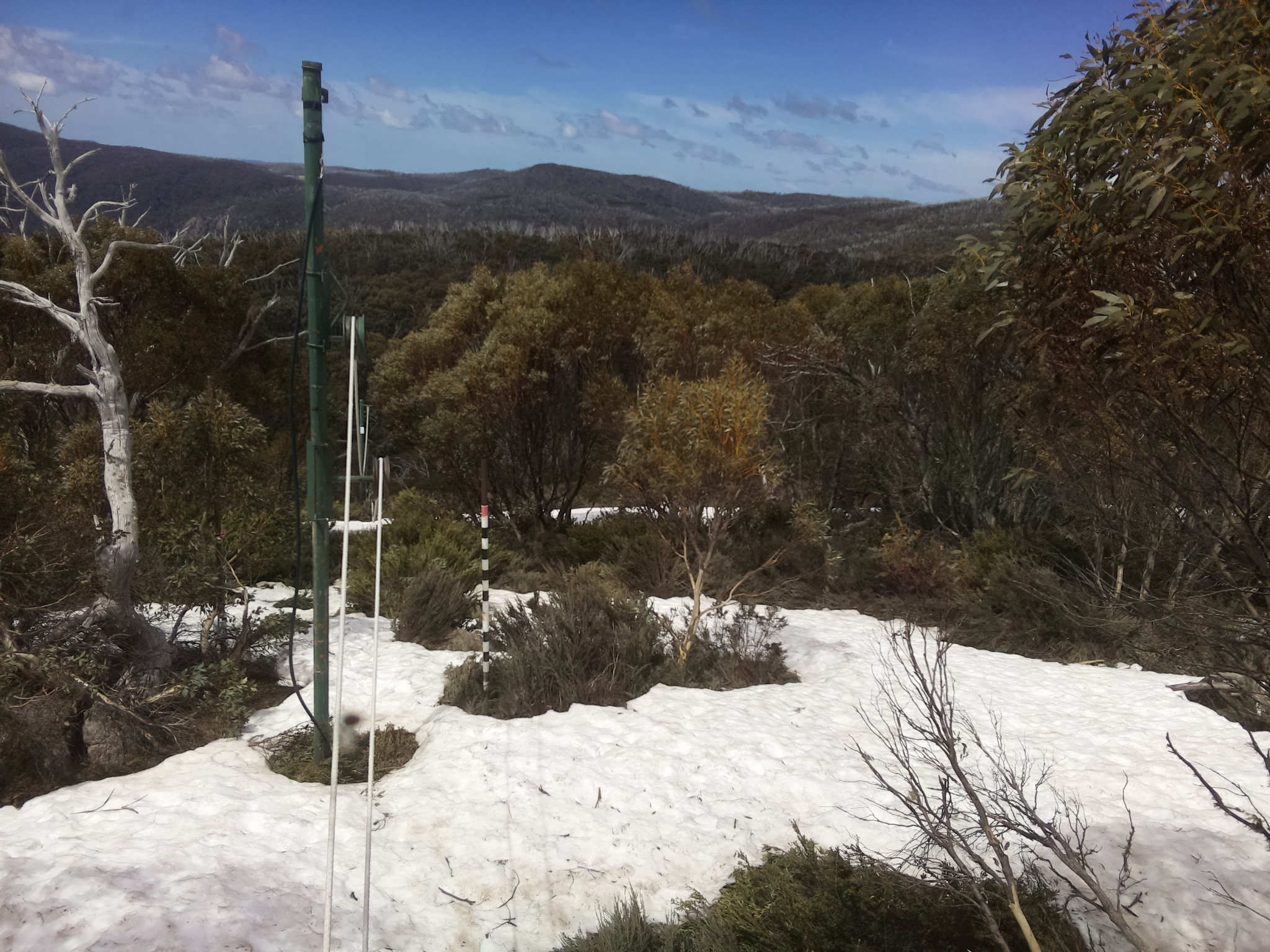 Bogong Web Cam 12:20pm Saturday 11th of October 2025