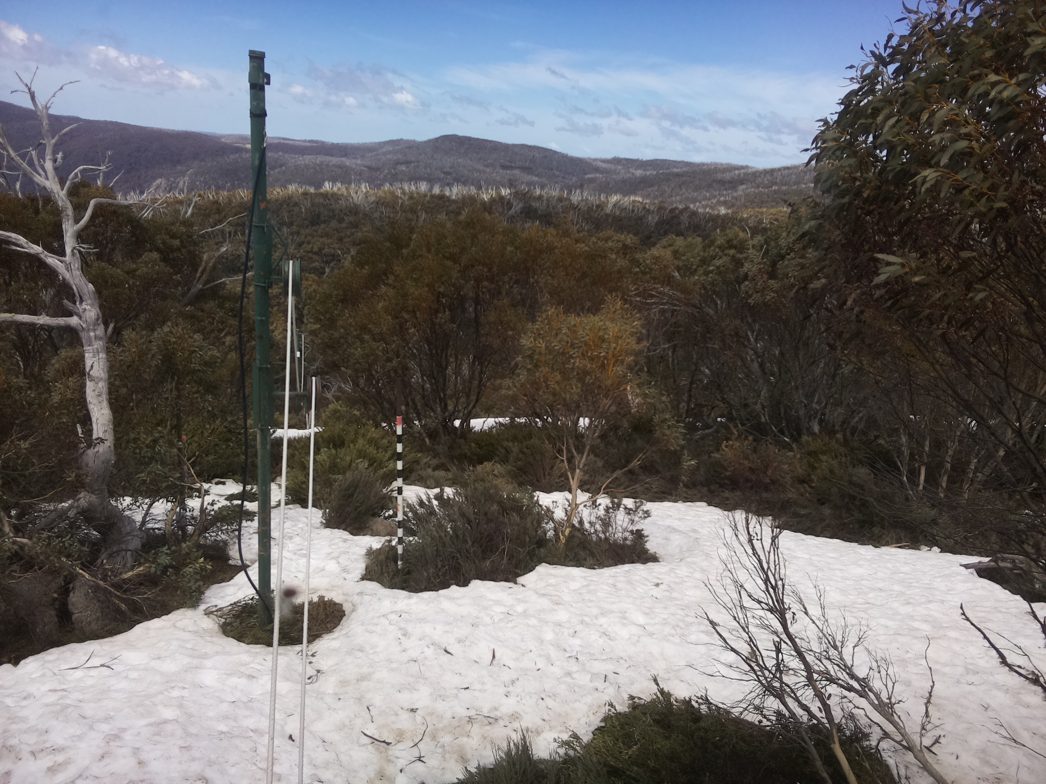 Bogong Web Cam 12:30pm Saturday 11th of October 2025