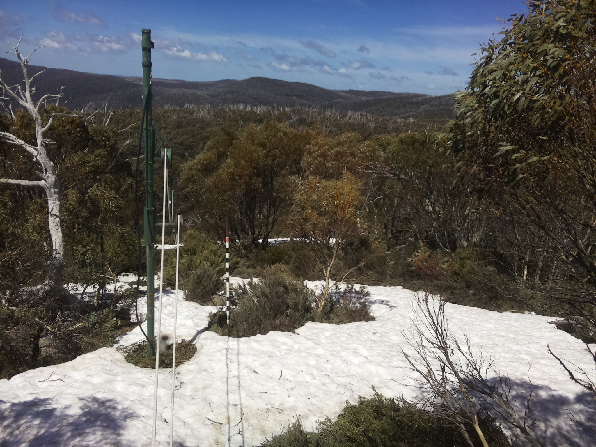 Bogong Web Cam 12:40pm Saturday 11th of October 2025