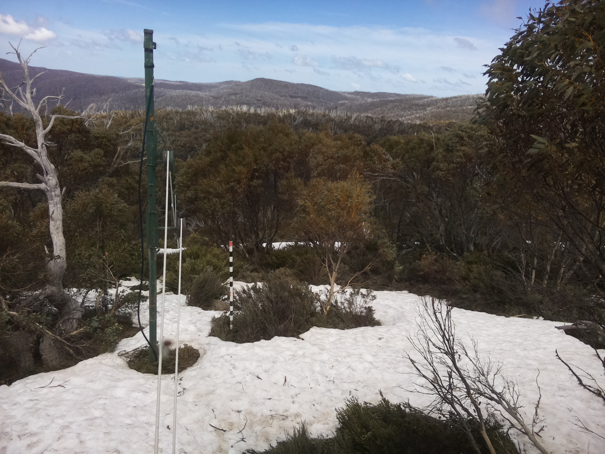 Bogong Web Cam 12:50pm Saturday 11th of October 2025