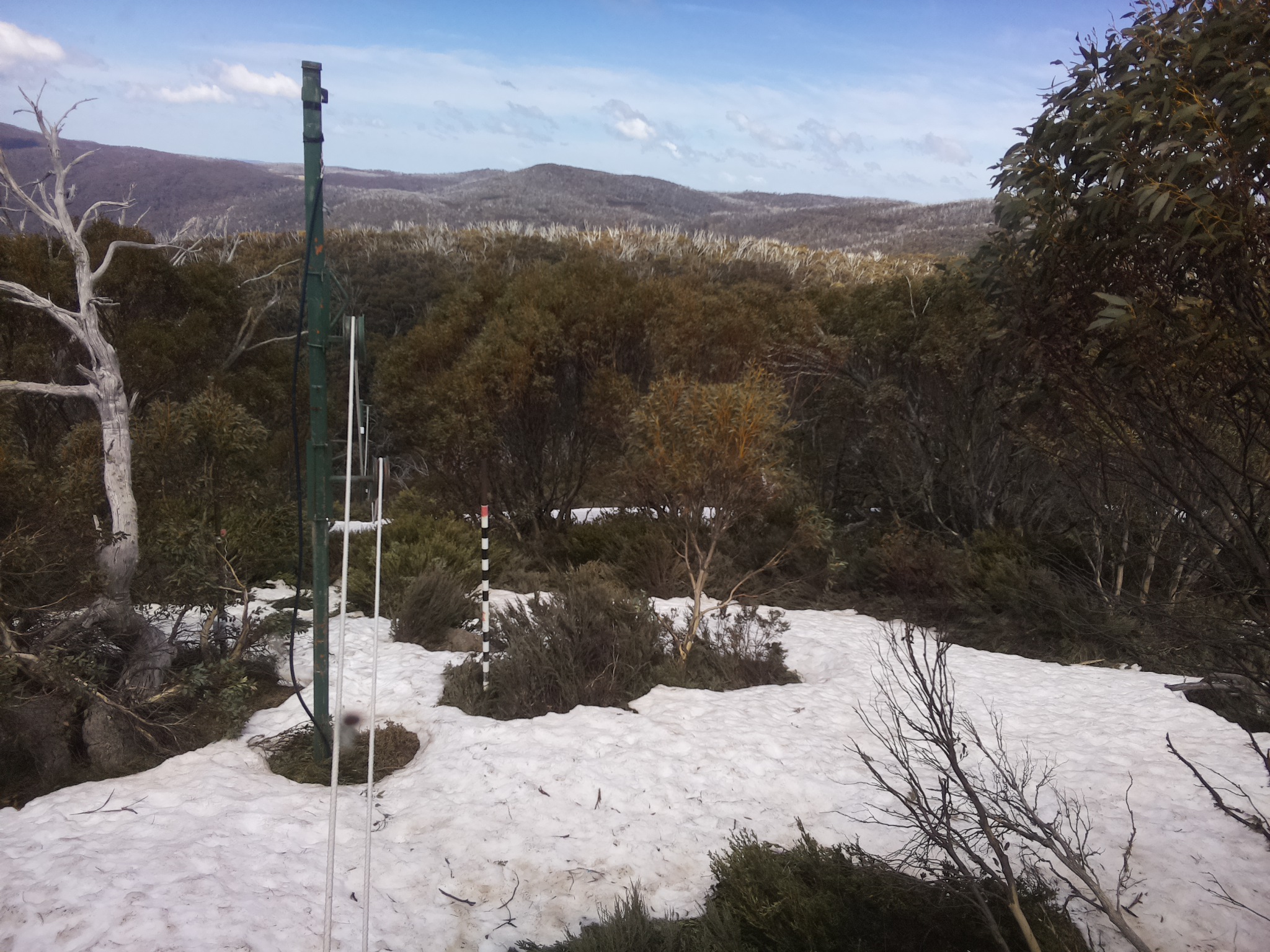 Bogong Web Cam 1:00pm Saturday 11th of October 2025