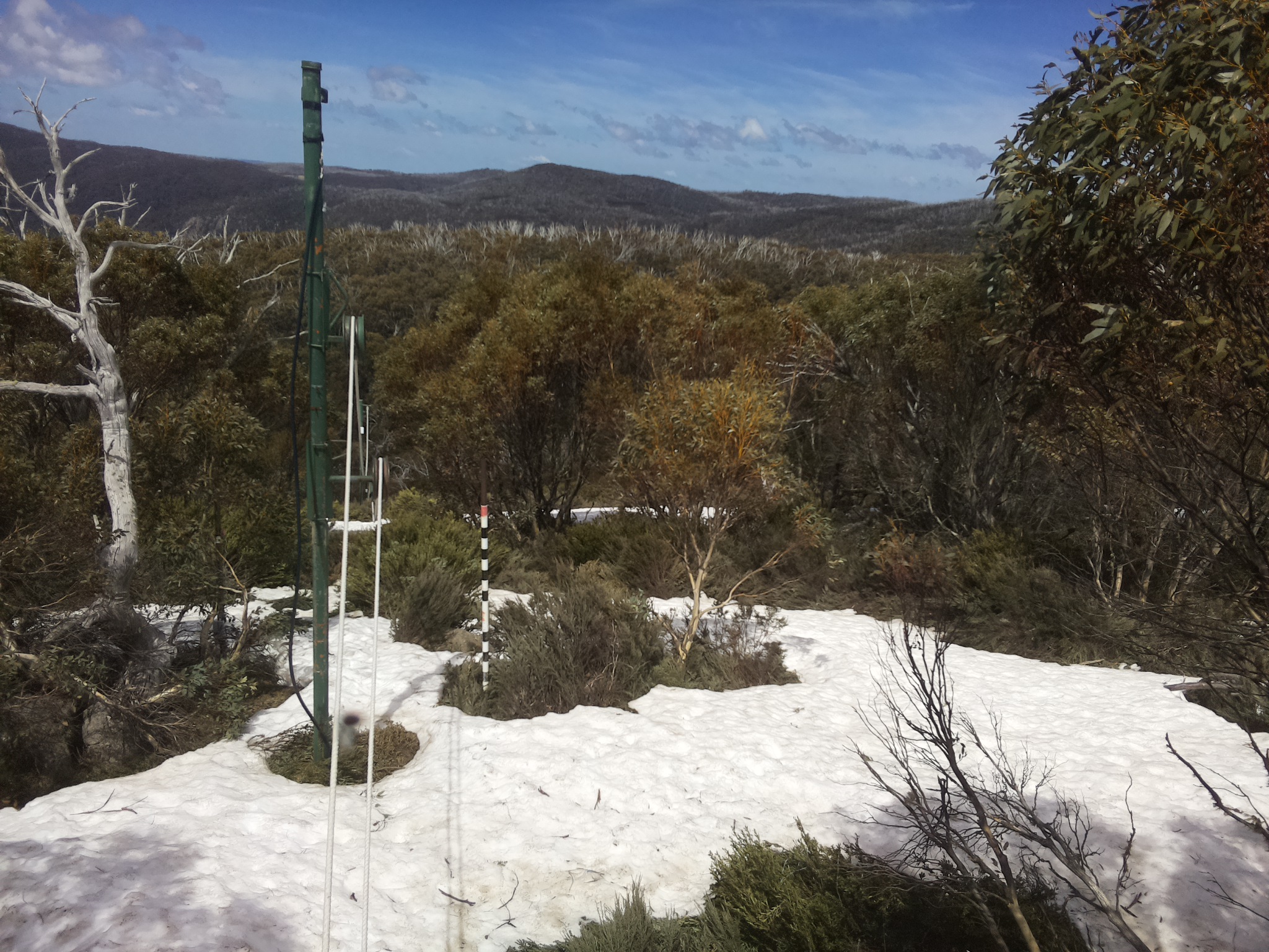 Bogong Web Cam 1:10pm Saturday 11th of October 2025