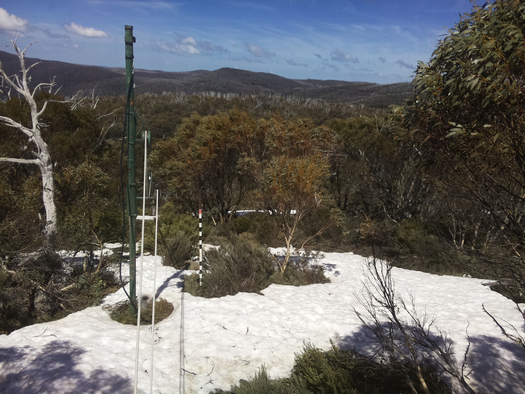 Bogong Web Cam 1:20pm Saturday 11th of October 2025