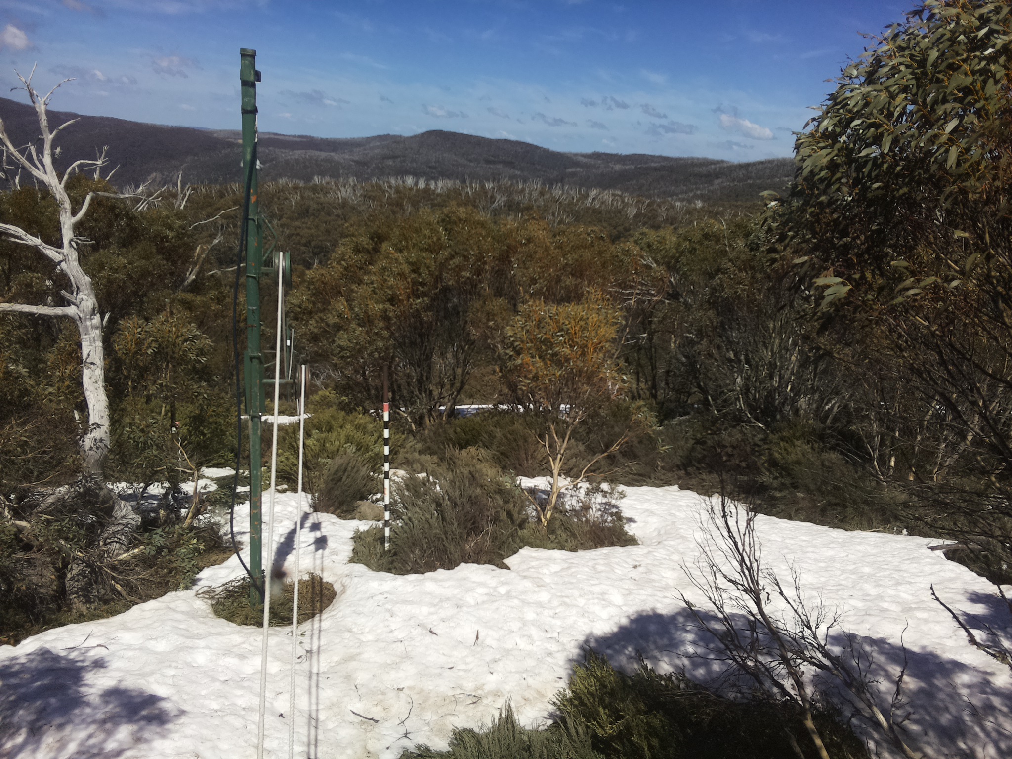 Bogong Web Cam 1:50pm Saturday 11th of October 2025