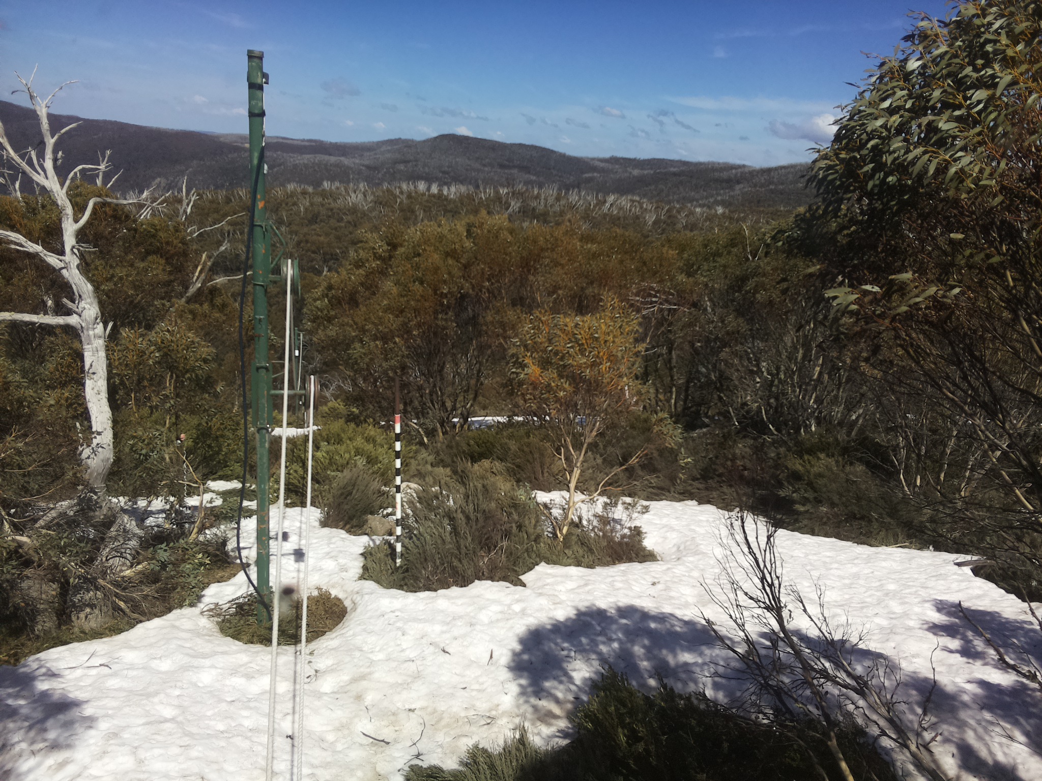 Bogong Web Cam 2:20pm Saturday 11th of October 2025