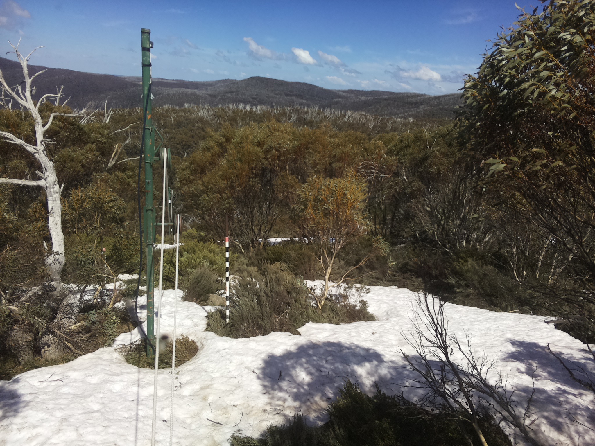 Bogong Web Cam 2:40pm Saturday 11th of October 2025