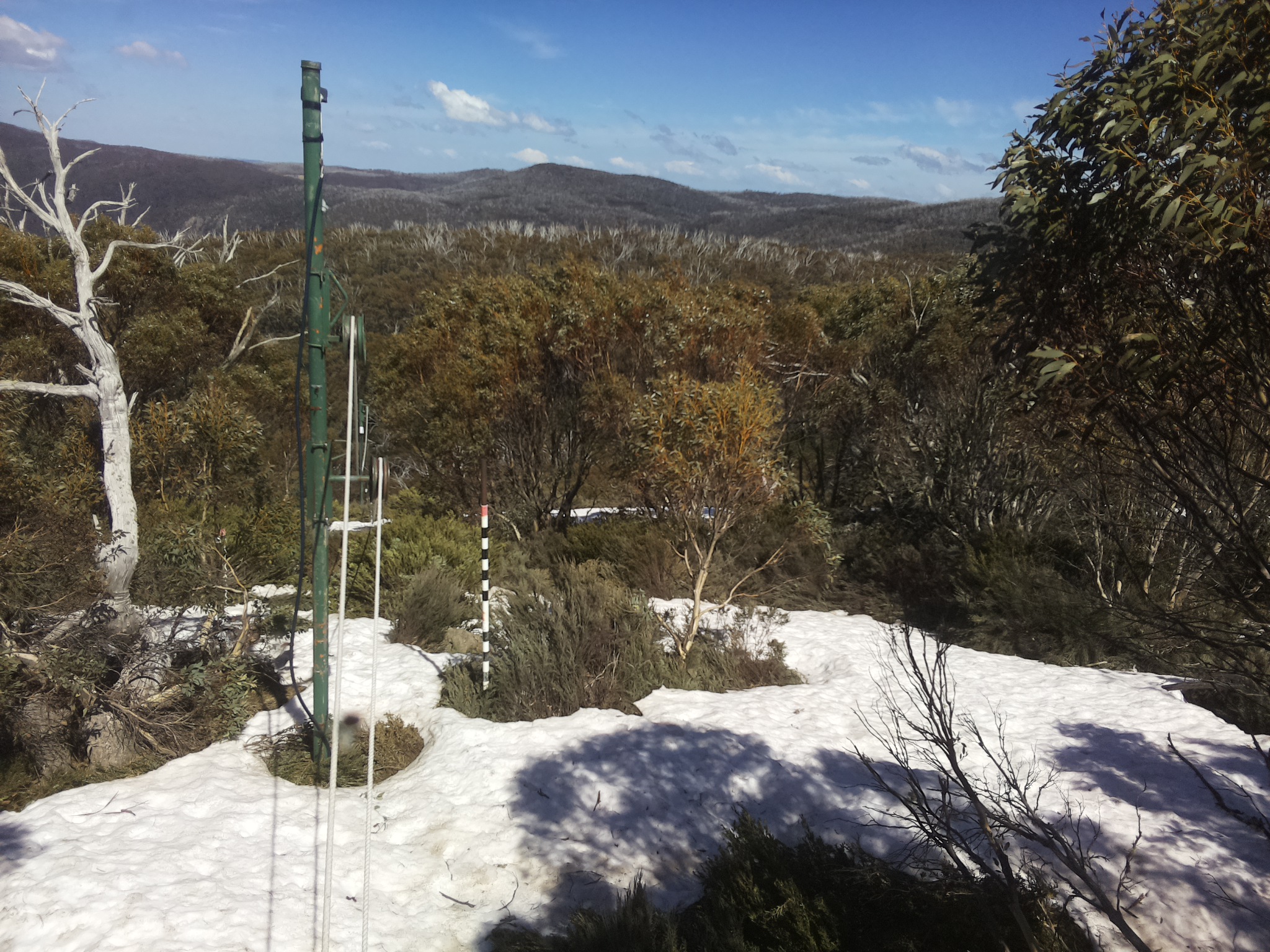 Bogong Web Cam 2:50pm Saturday 11th of October 2025