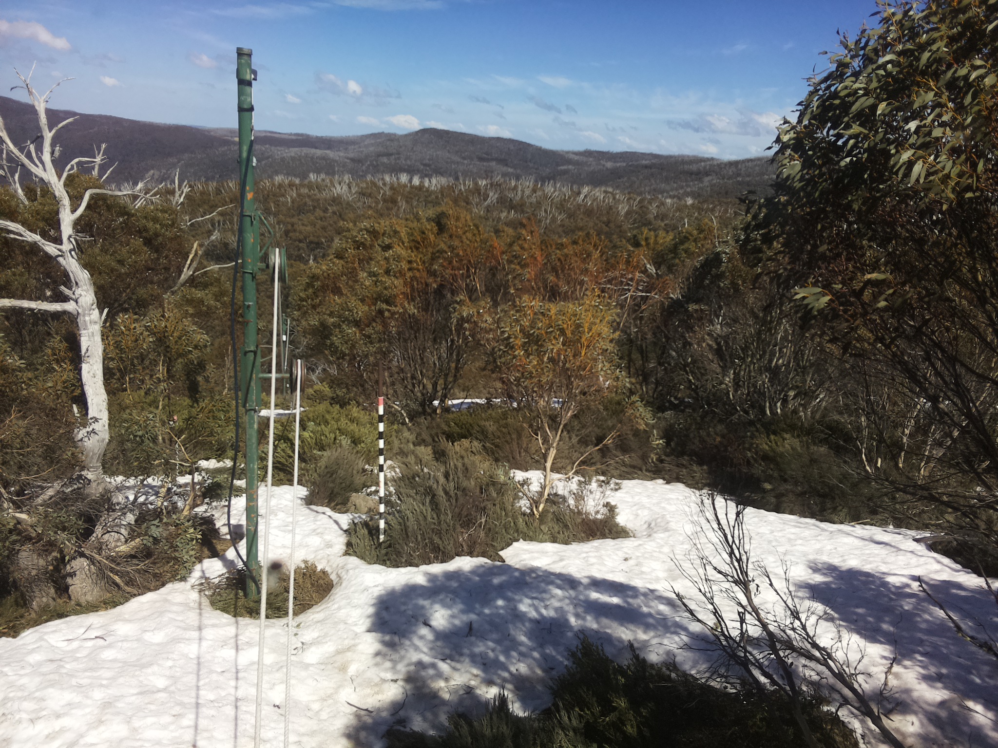 Bogong Web Cam 3:00pm Saturday 11th of October 2025