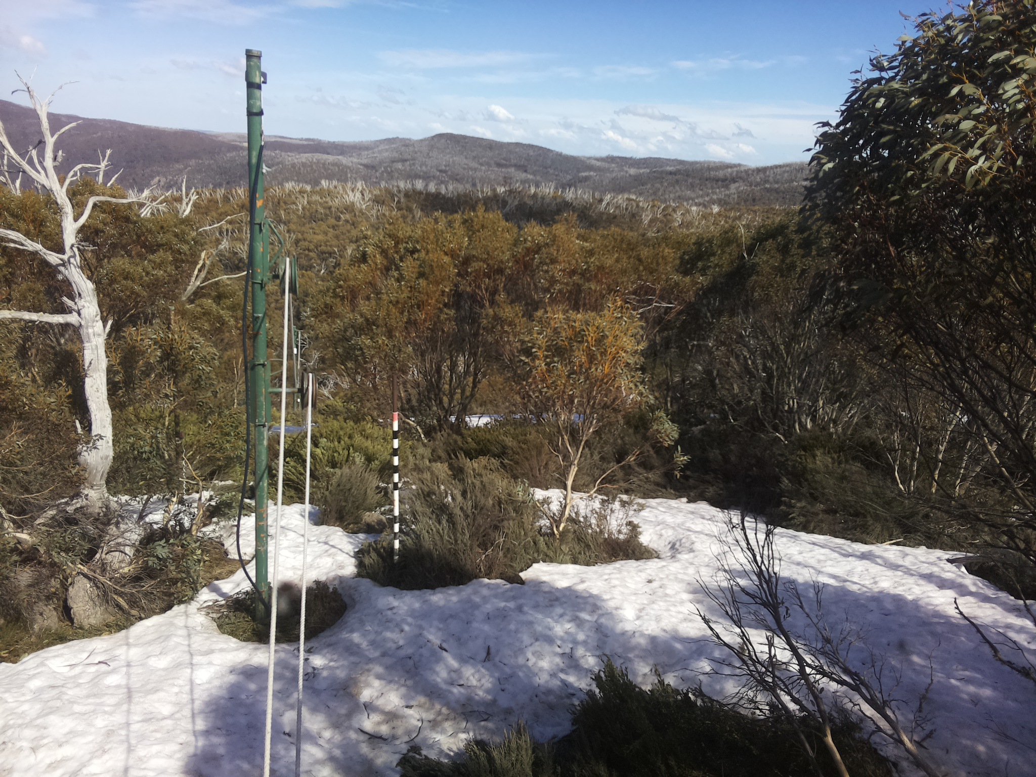 Bogong Web Cam 3:40pm Saturday 11th of October 2025