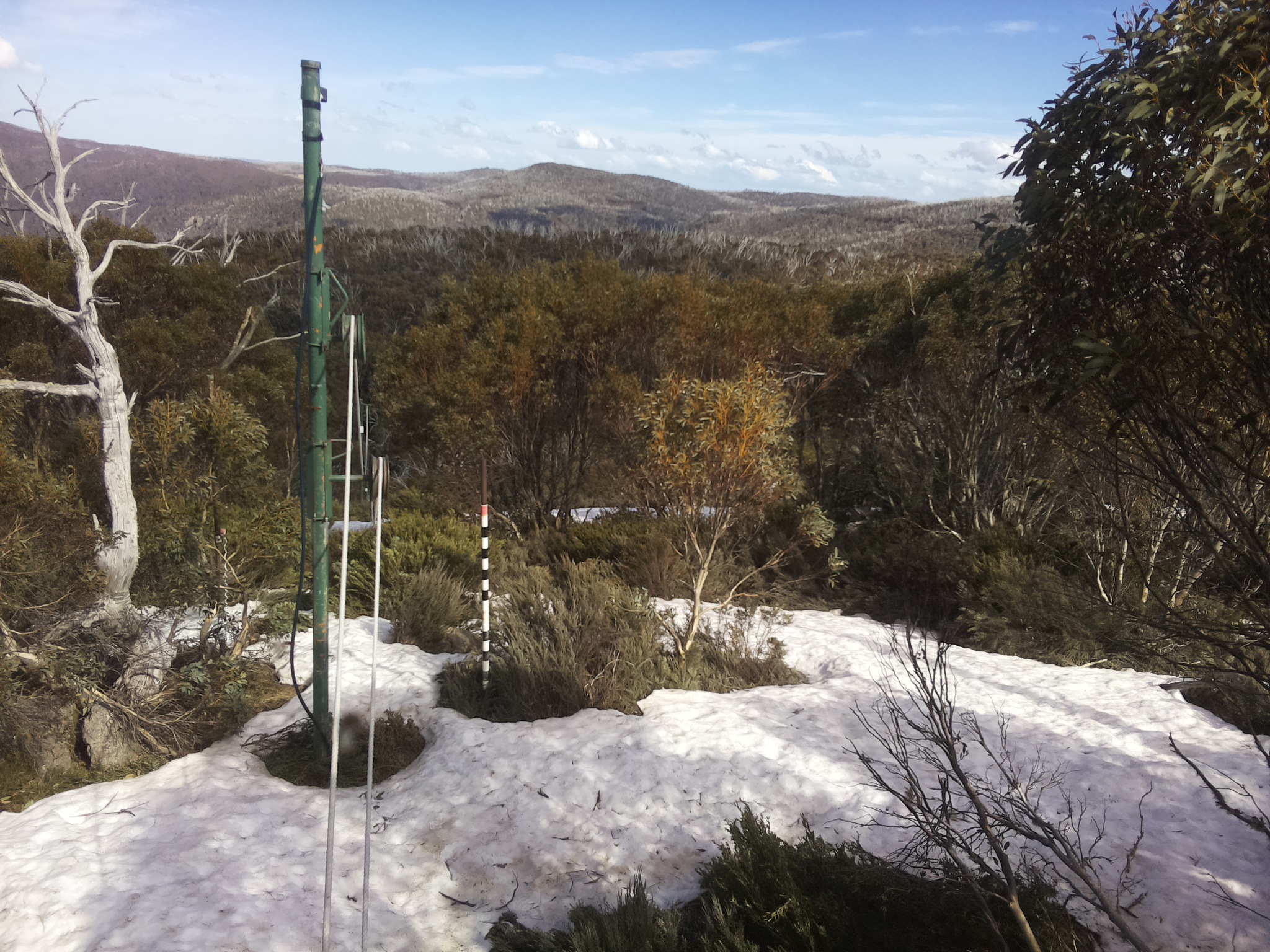 Bogong Web Cam 4:00pm Saturday 11th of October 2025