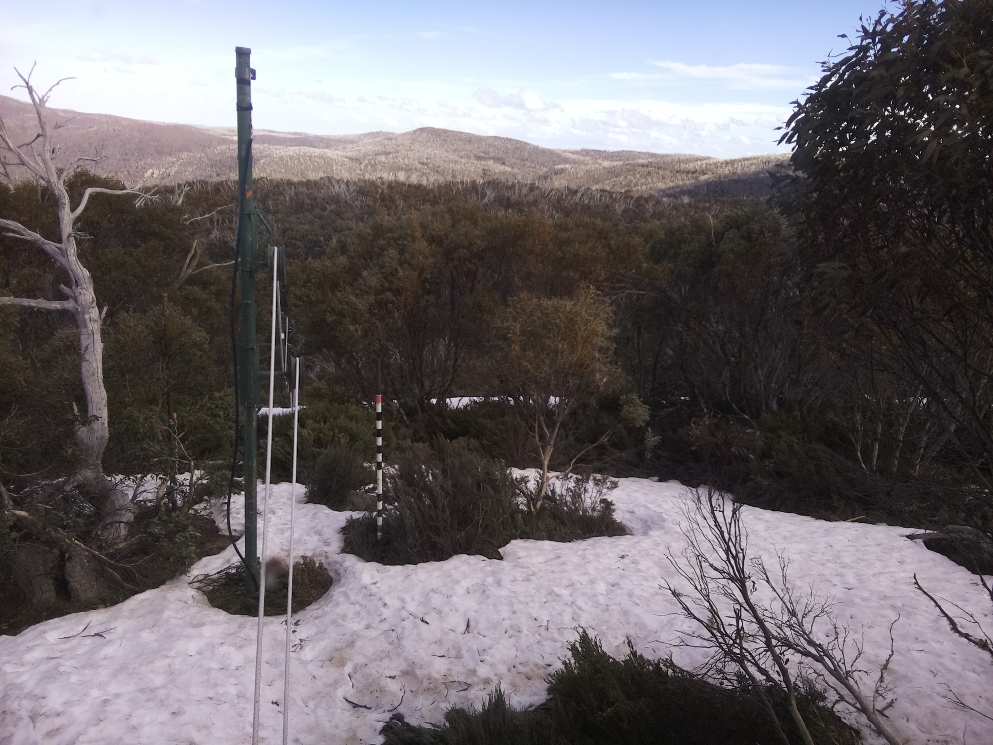 Bogong Web Cam 4:10pm Saturday 11th of October 2025