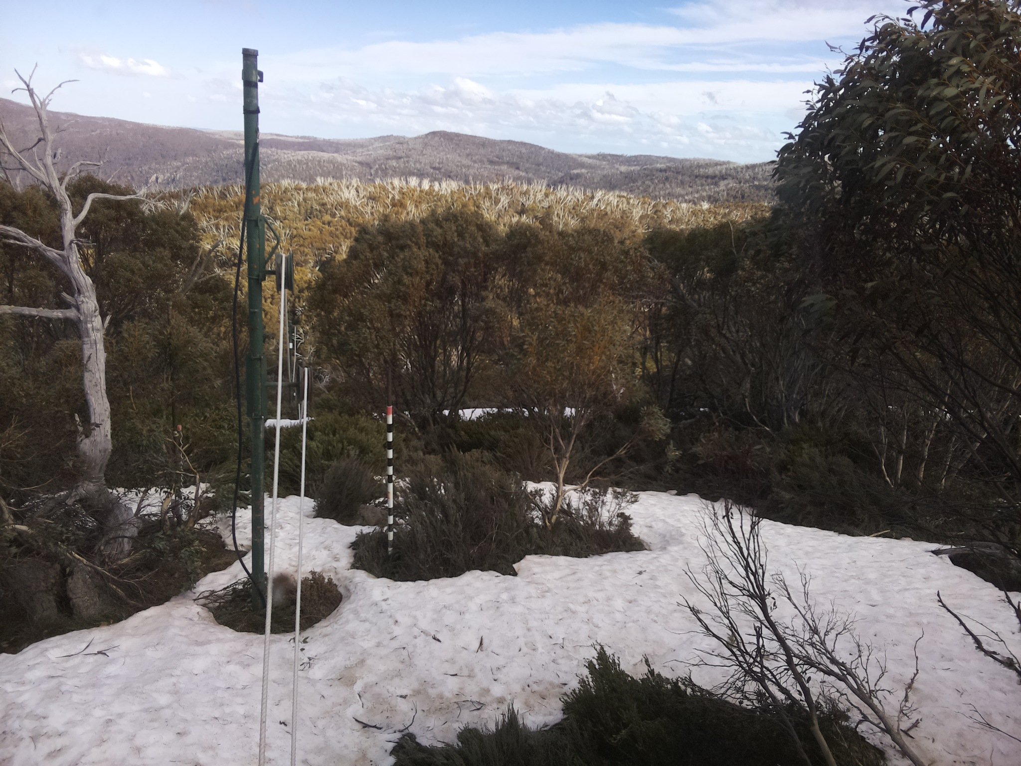 Bogong Web Cam 4:40pm Saturday 11th of October 2025