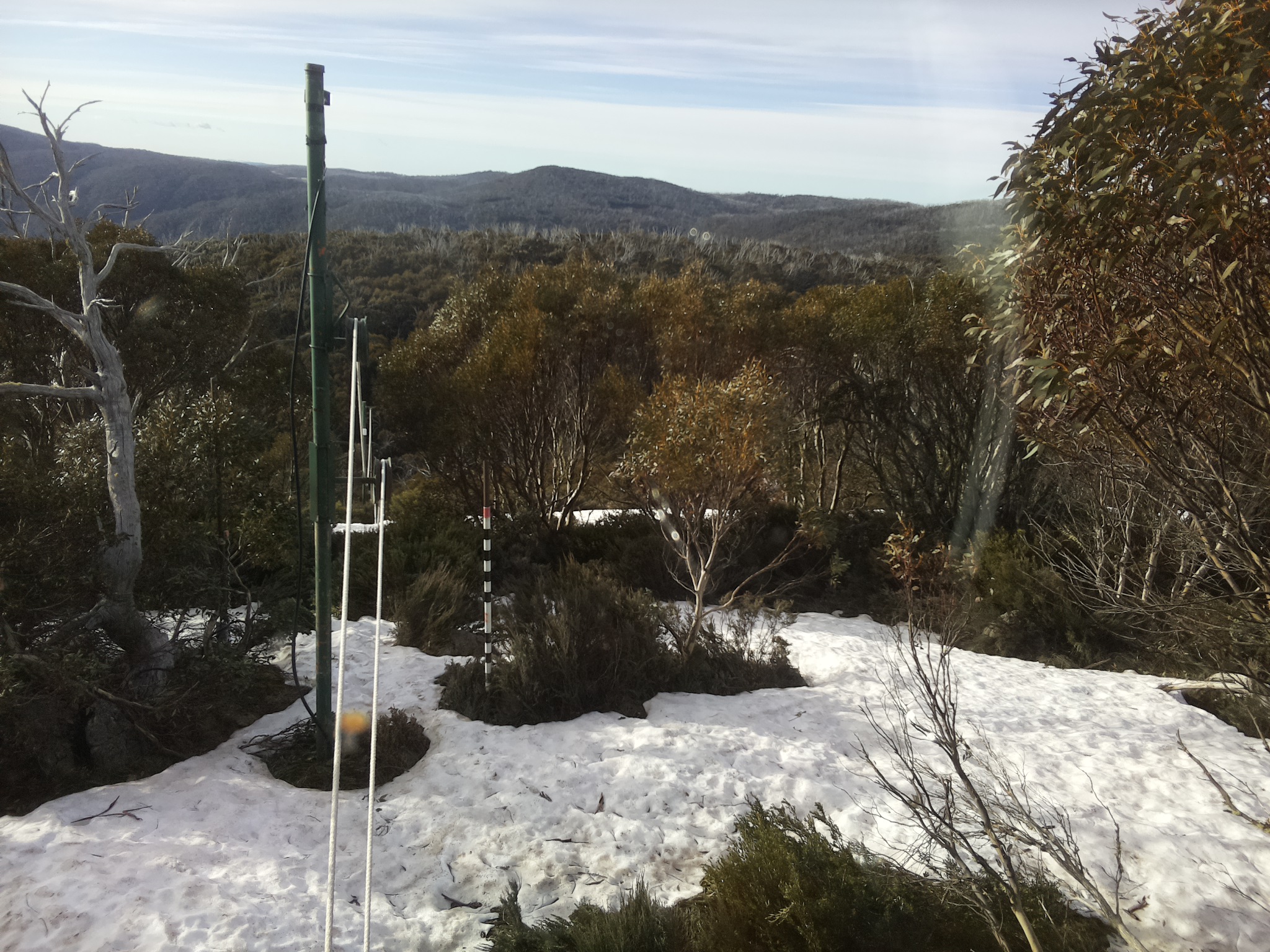 Bogong Web Cam 8:00am Sunday 12th of October 2025