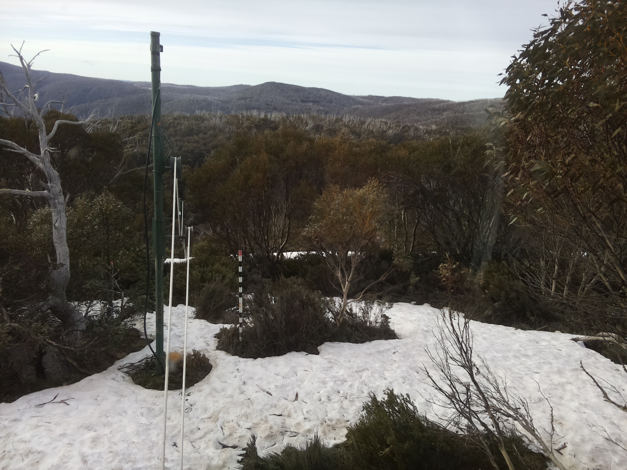 Bogong Web Cam 8:10am Sunday 12th of October 2025