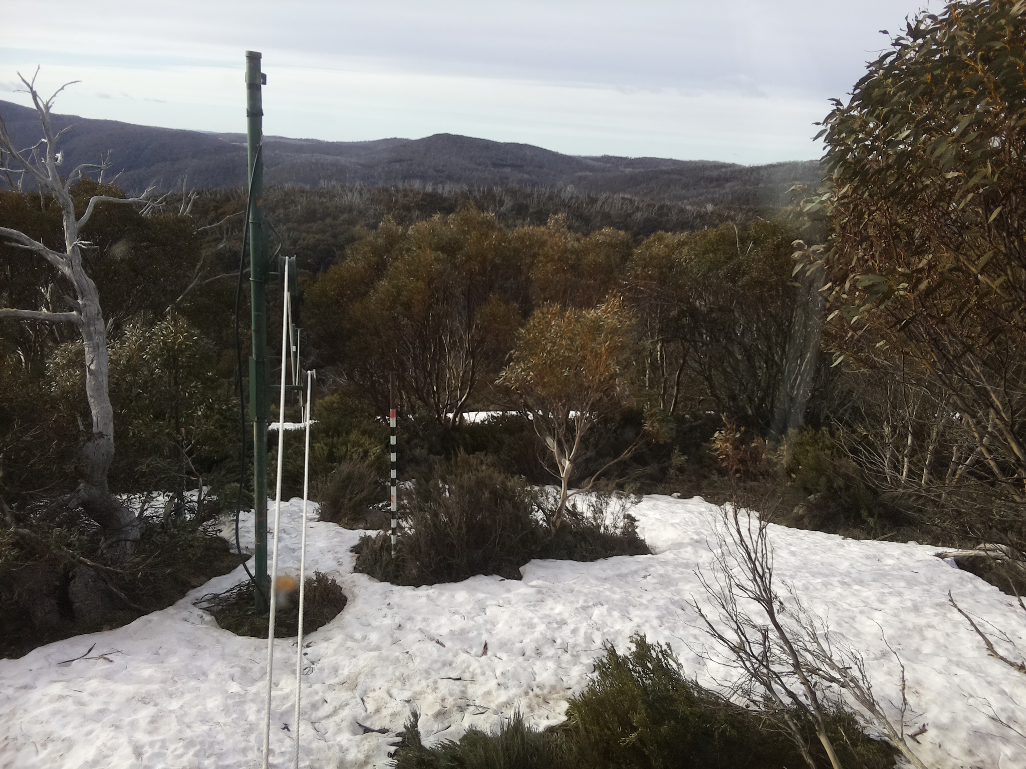 Bogong Web Cam 8:20am Sunday 12th of October 2025
