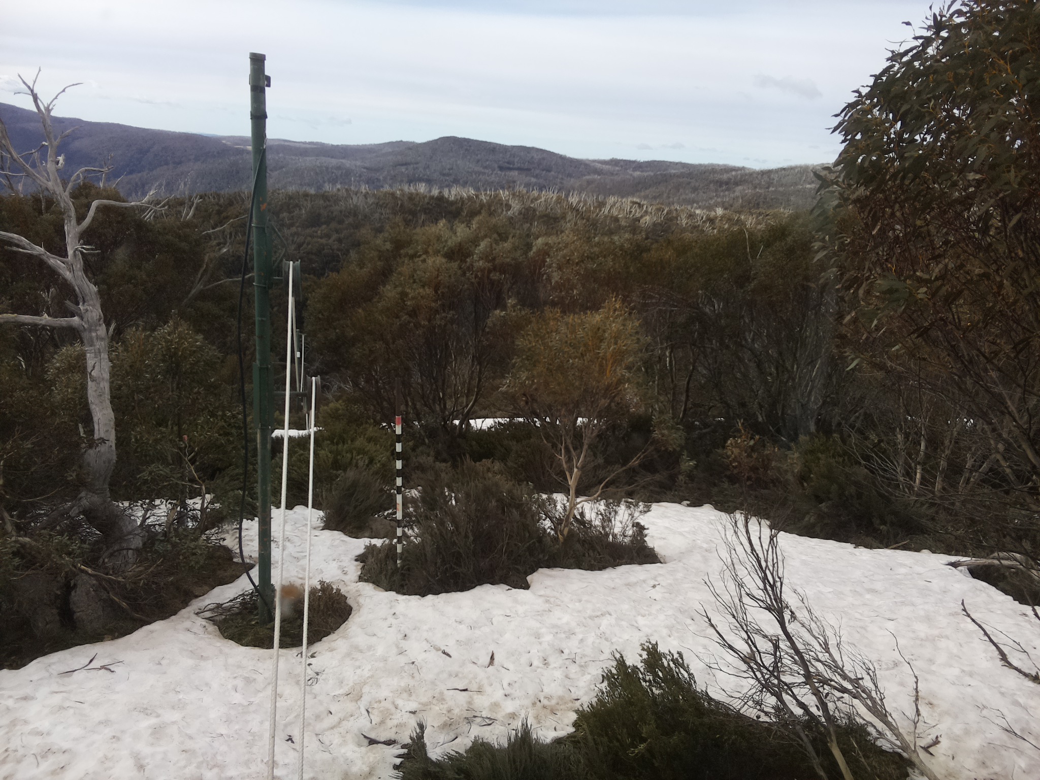 Bogong Web Cam 8:40am Sunday 12th of October 2025