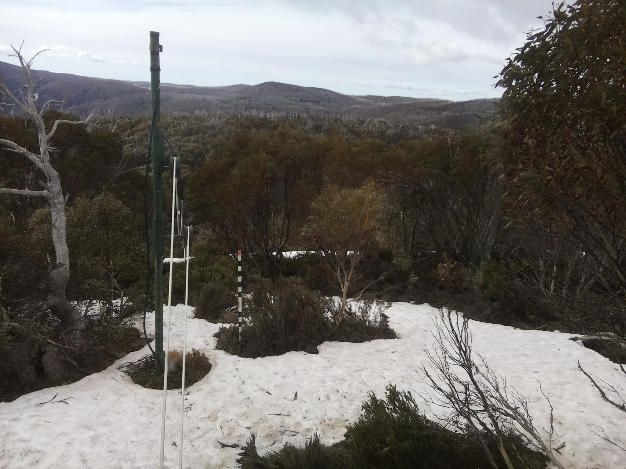 Bogong Web Cam 8:50am Sunday 12th of October 2025