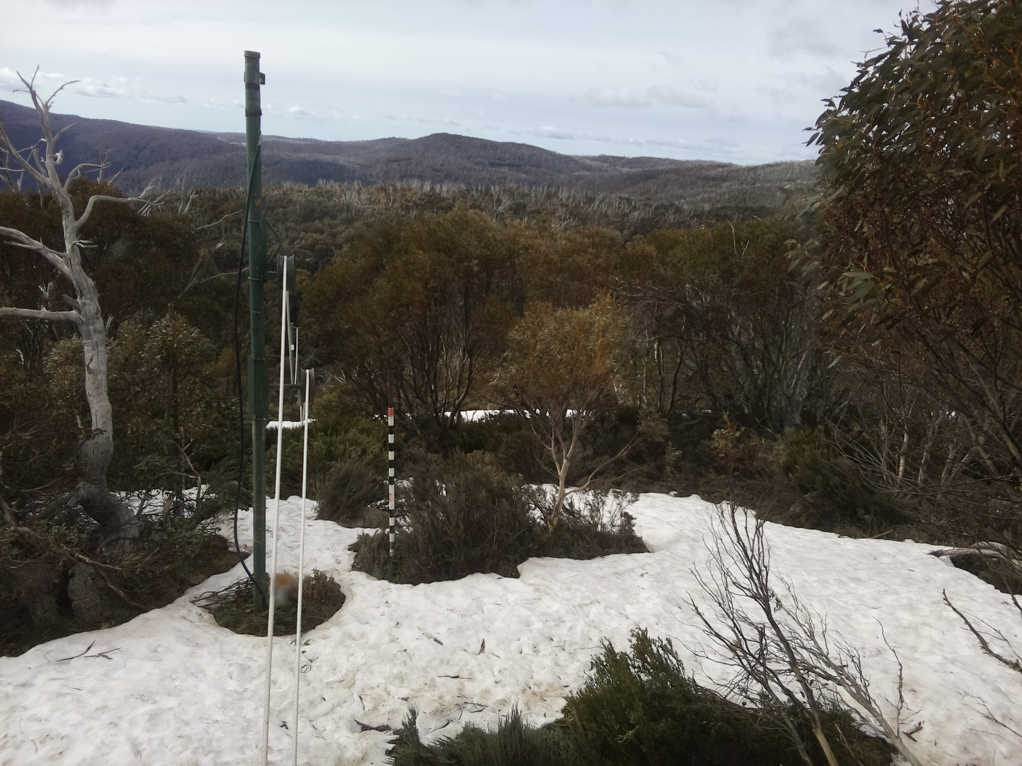 Bogong Web Cam 9:00am Sunday 12th of October 2025